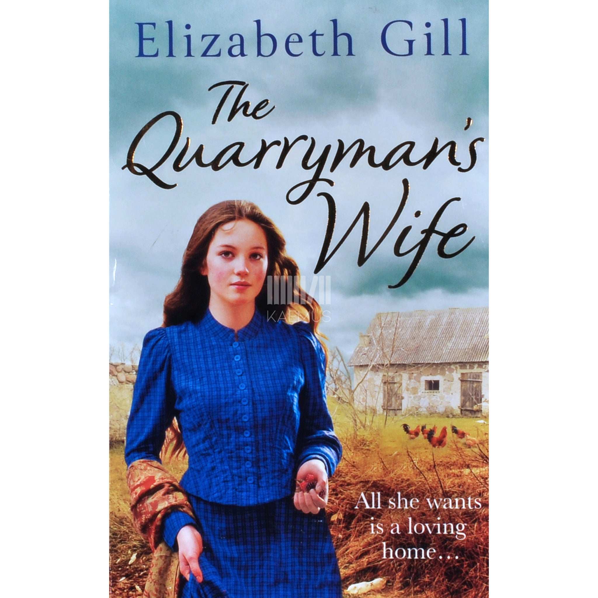 Elizabeth Gill The Quarrymans Wife. The Weardale Sagas
