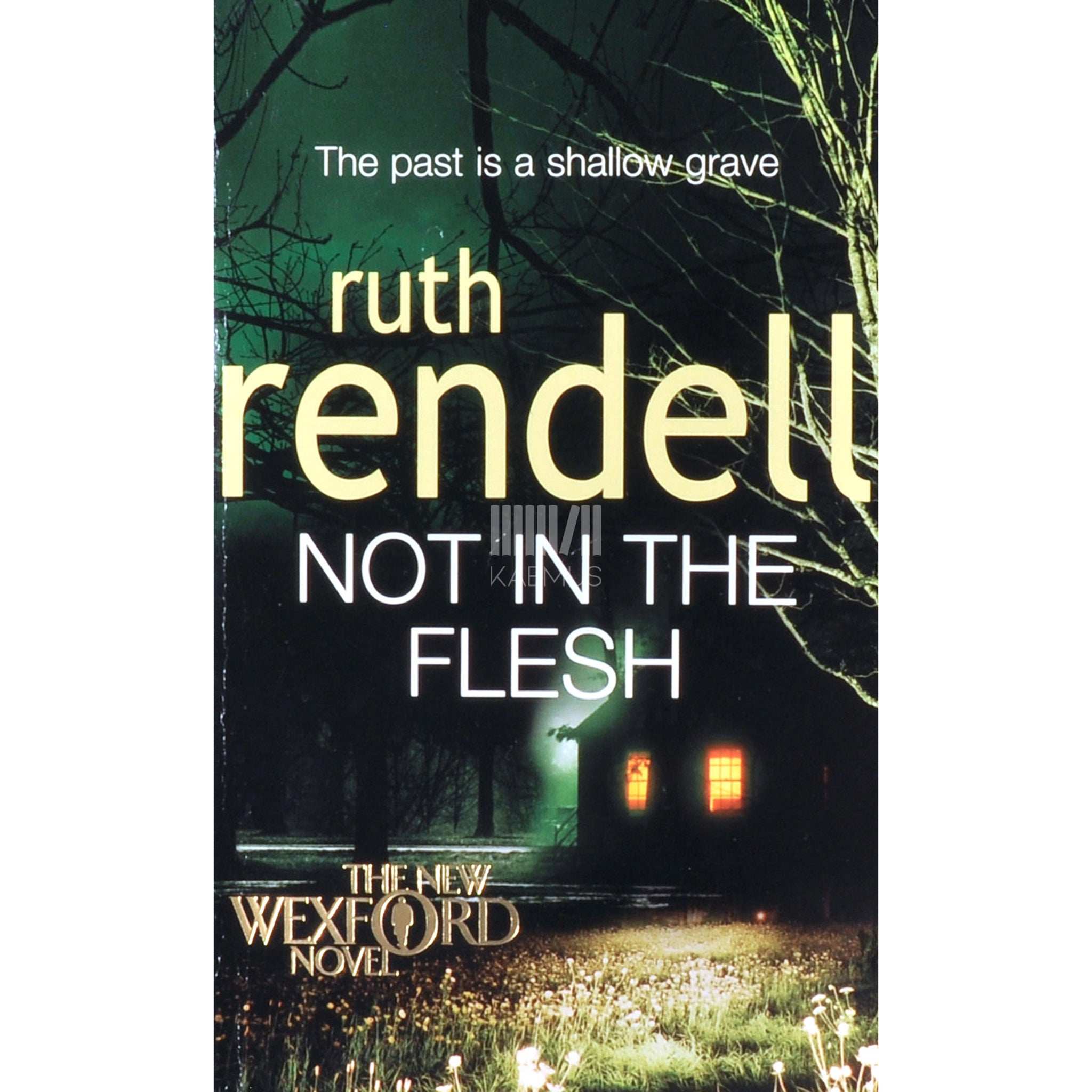 Ruth Rendell Not In The Flesh
