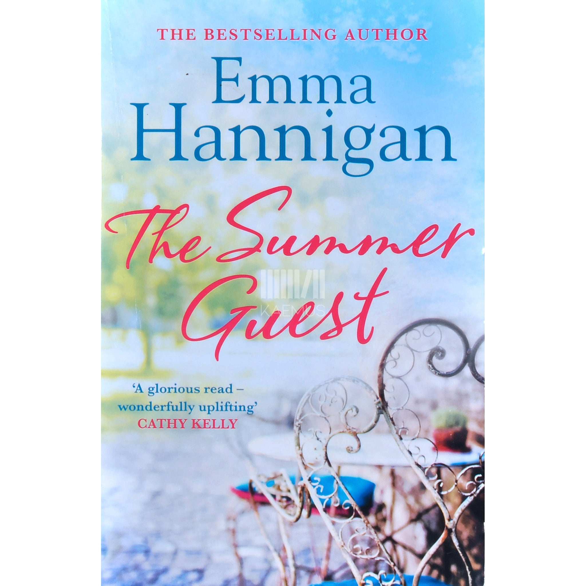 Emma Hannigan The Summer Guest