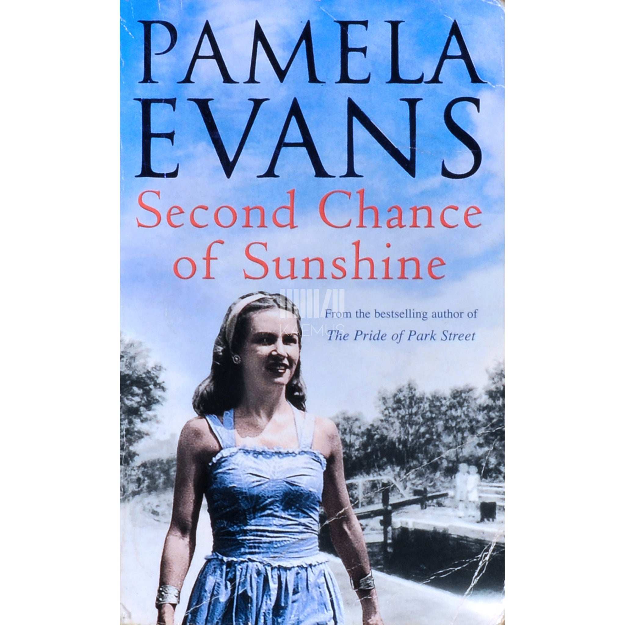 Pamela Evans Second Chance Of Sunshine