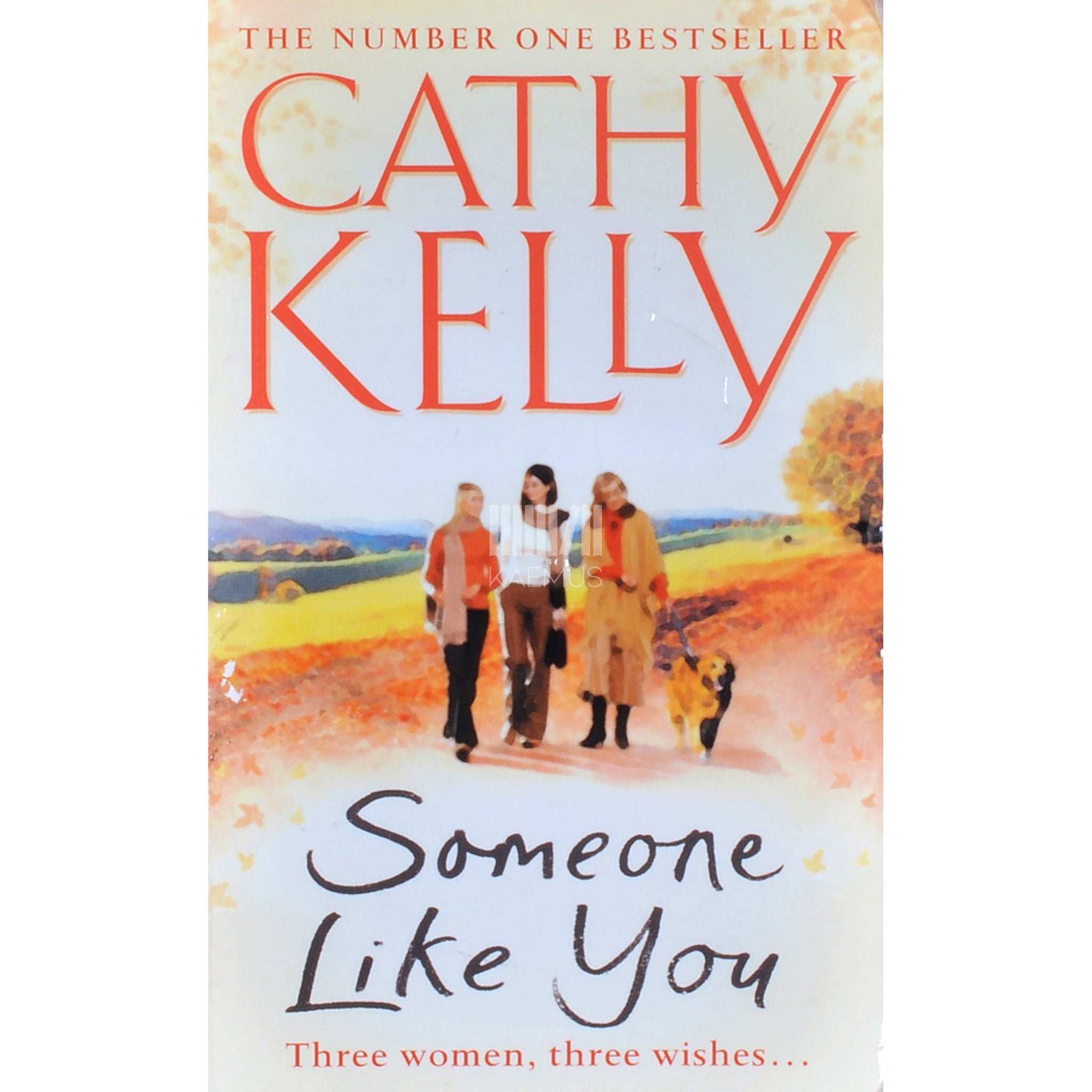Cathy Kelly Someone Like You
