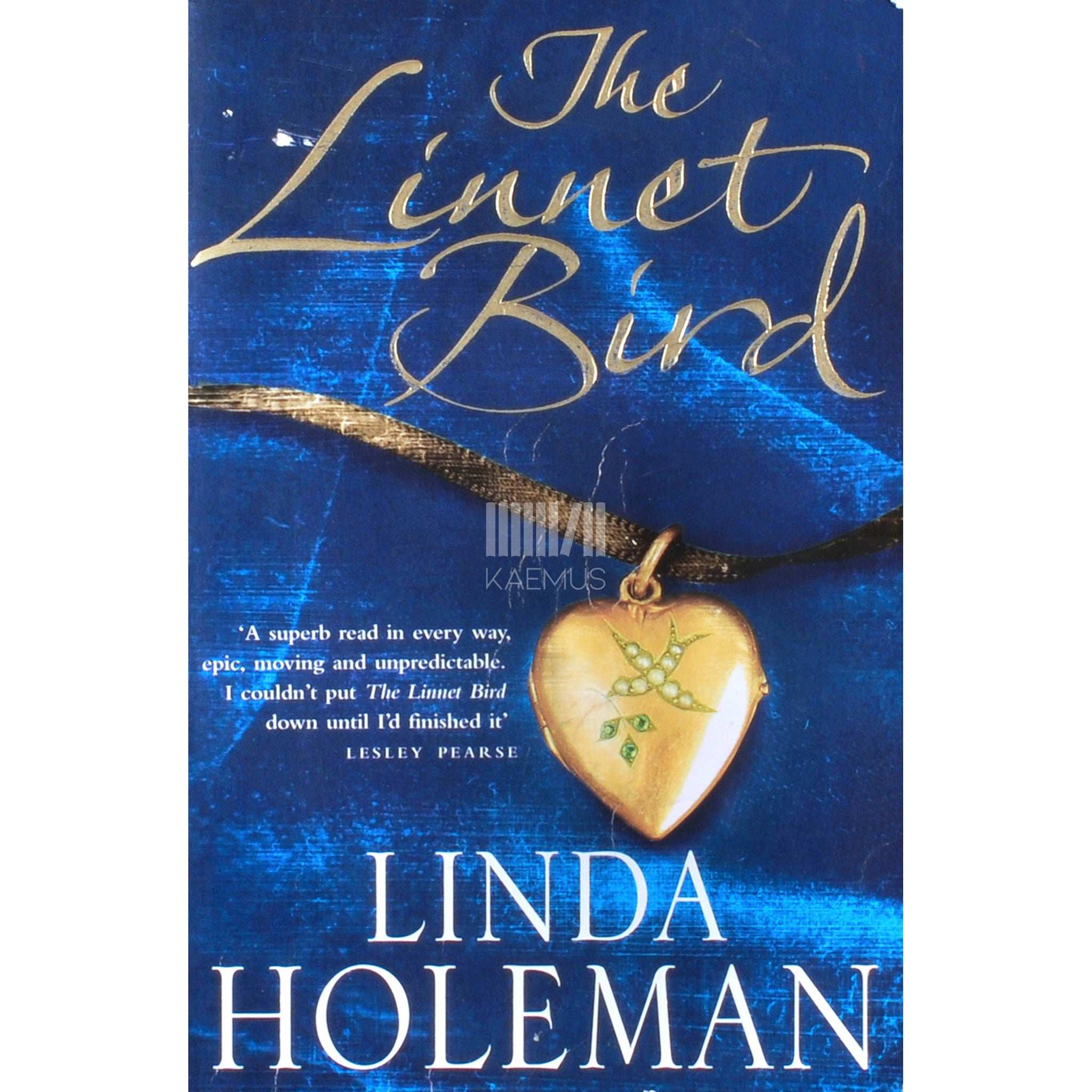 Linda Holeman The Linnet Bird