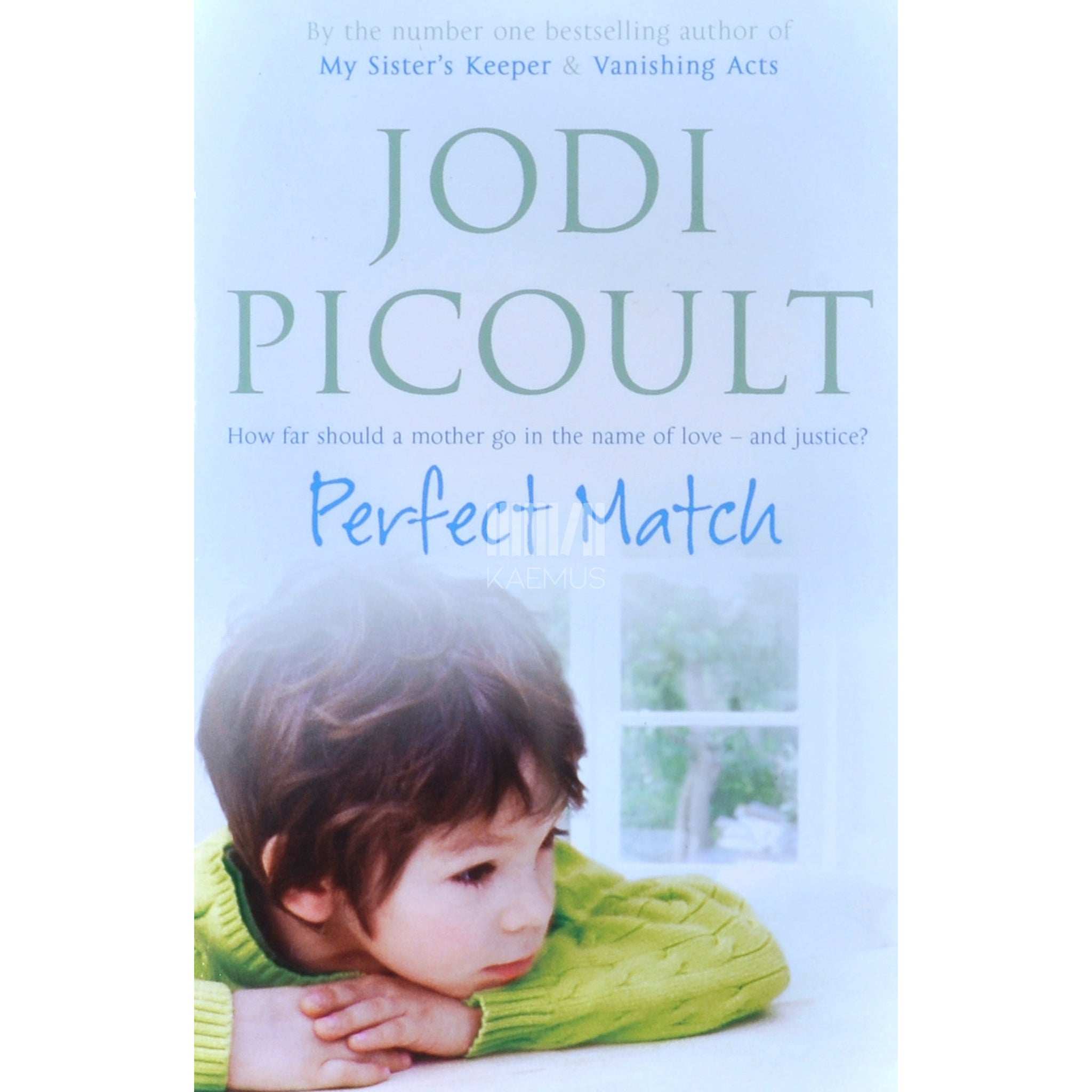Jodi Picoult Perfect Match