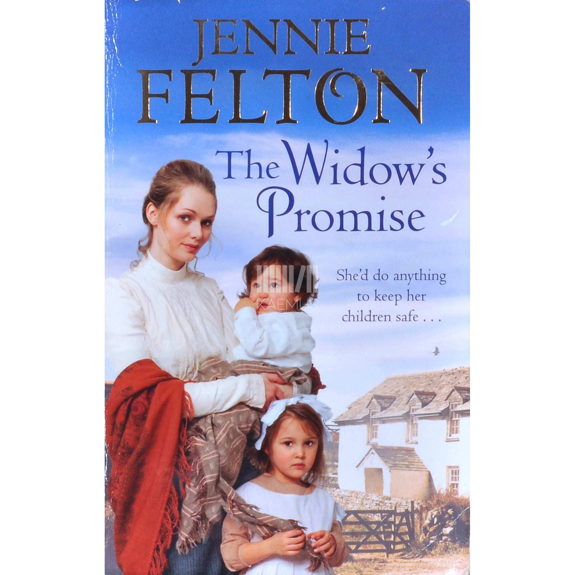 Jennie Felton - The Widow's Promise. The Families Of Fairley Terrace Sagas 4