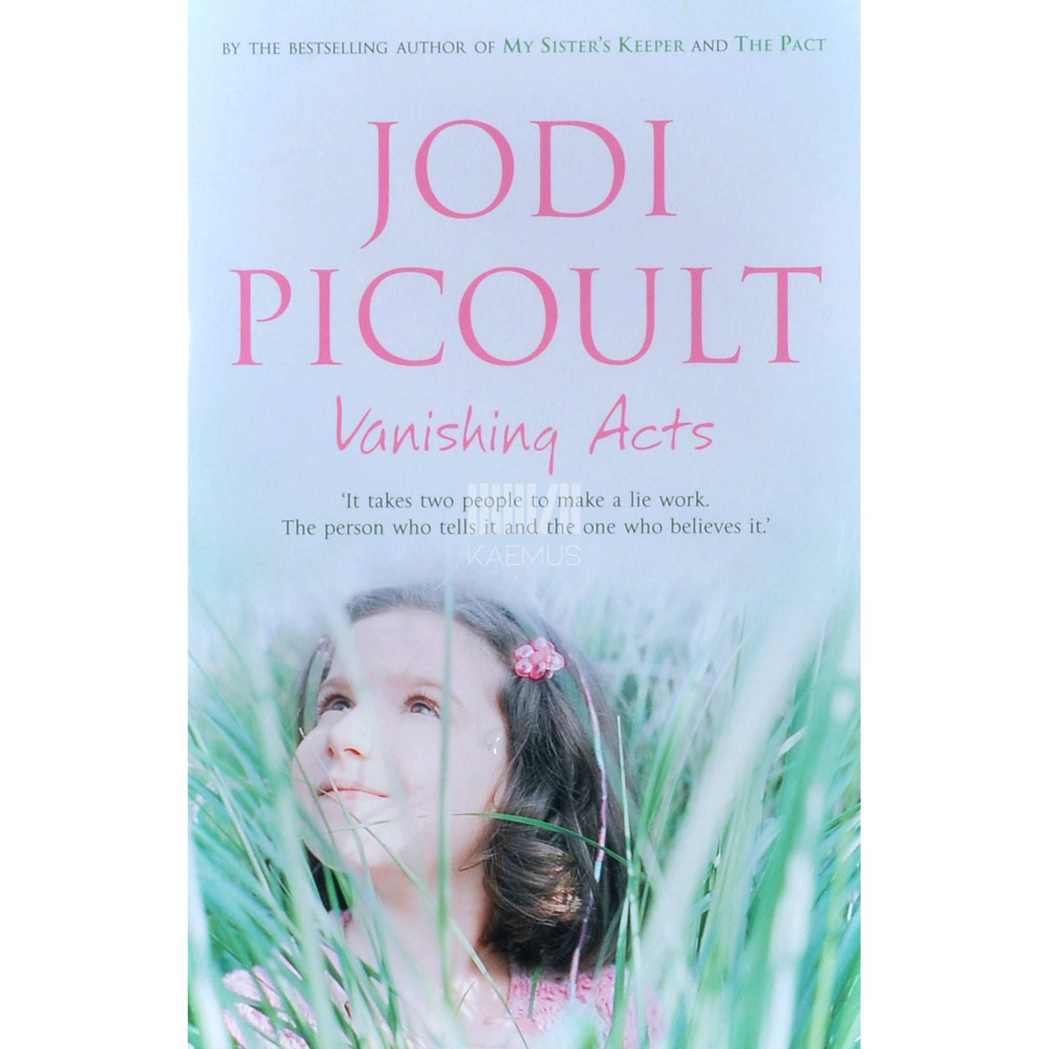 Jodi Picoult Vanishing Acts