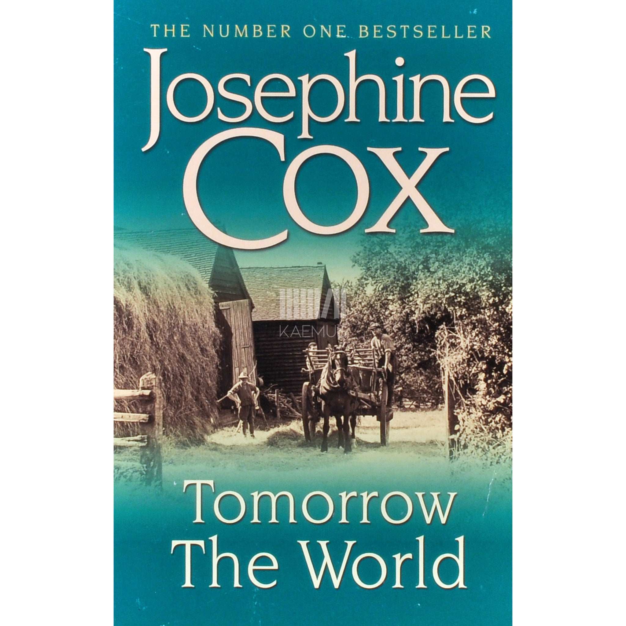 Josephine Cox Tomorrow The World