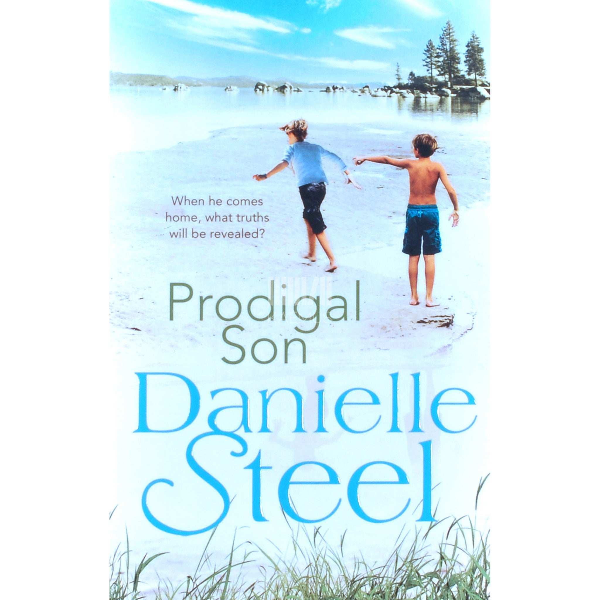 Danielle Steel Prodigal Son