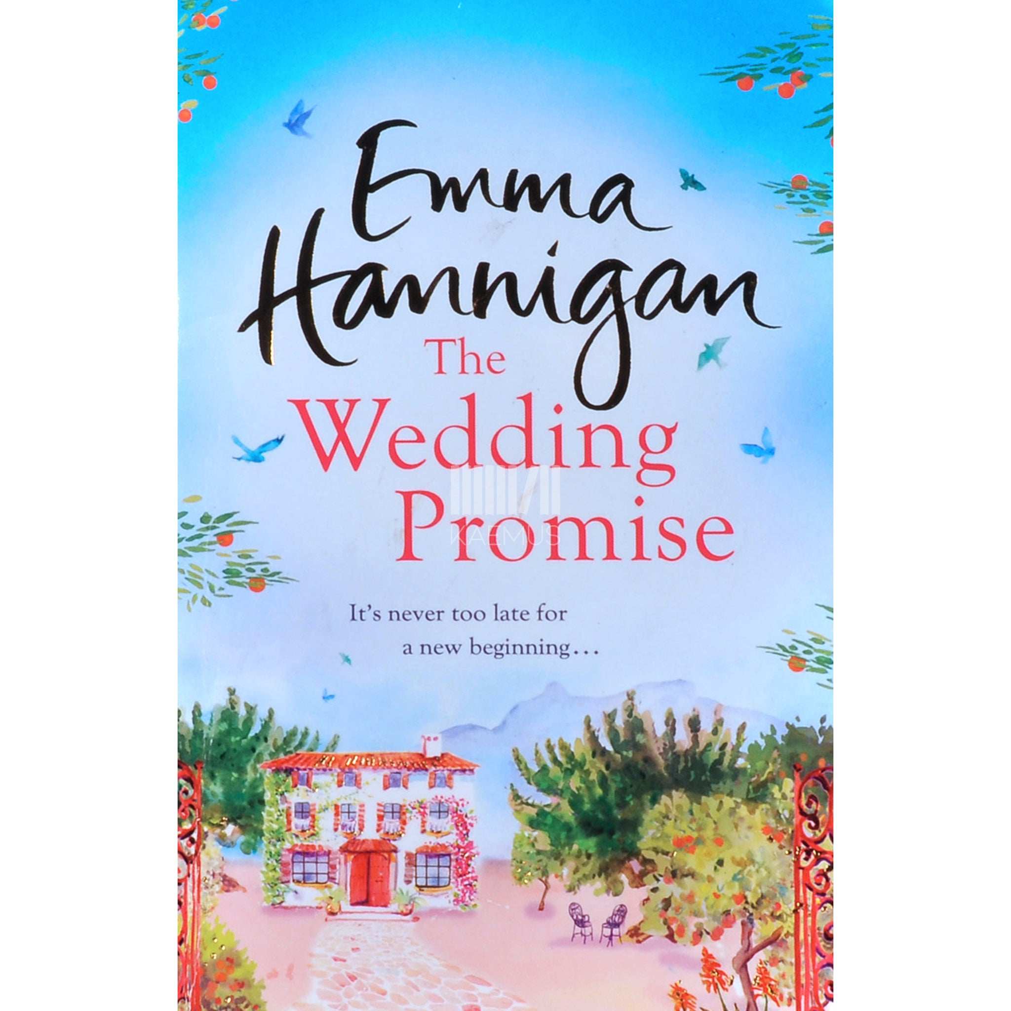 Emma Hannigan The Wedding Promise