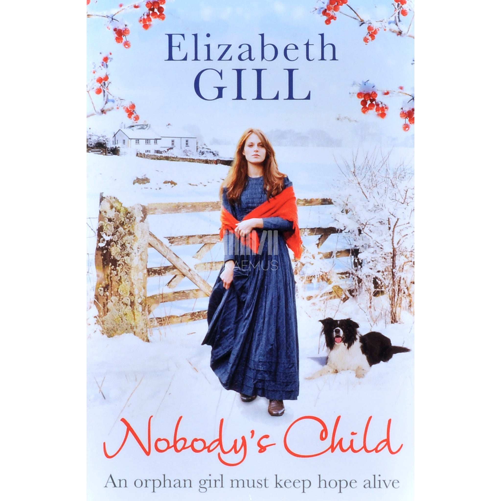 Elizabeth Gill Nobody's Child