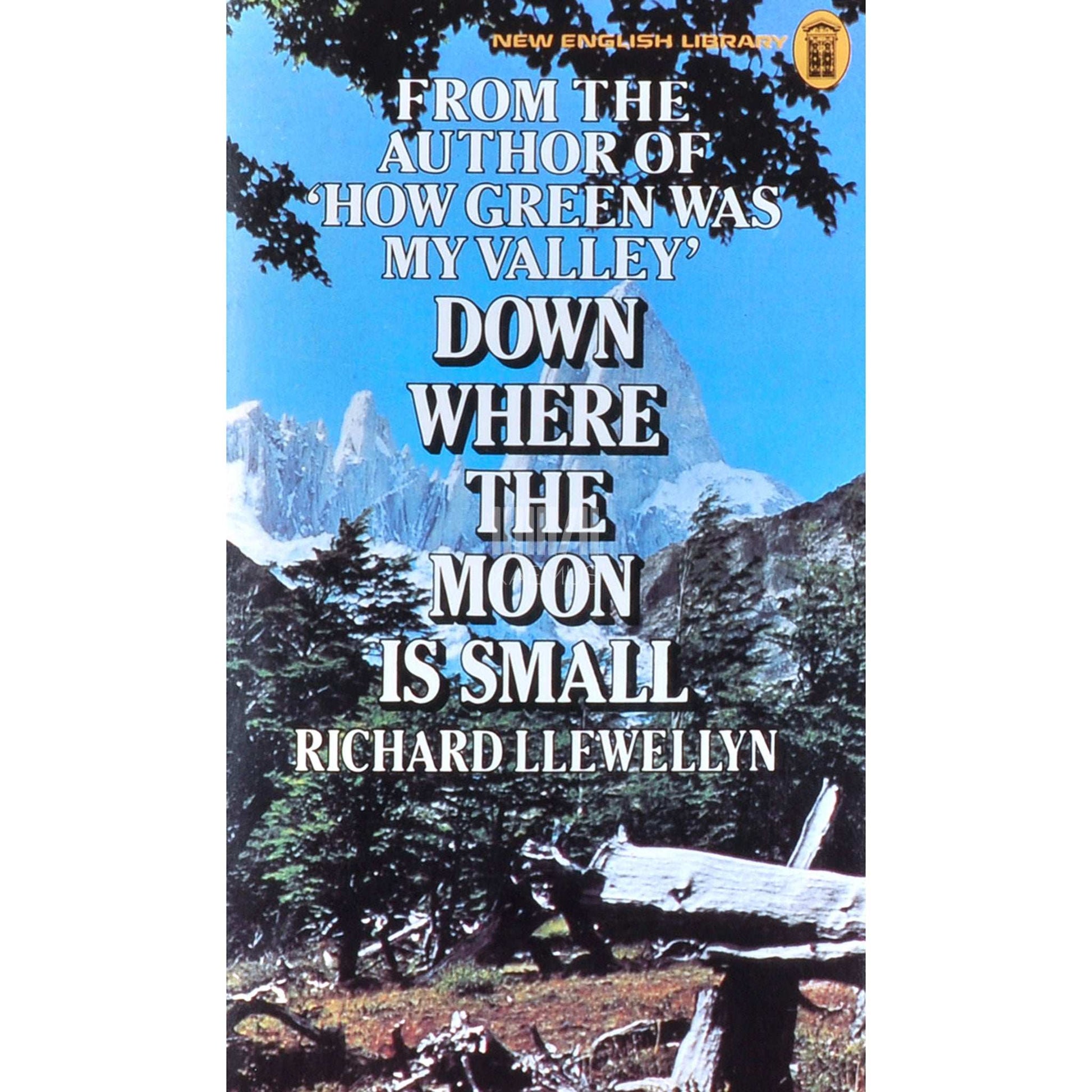 Richard Llewellyn - Down Where The Moon Is Small