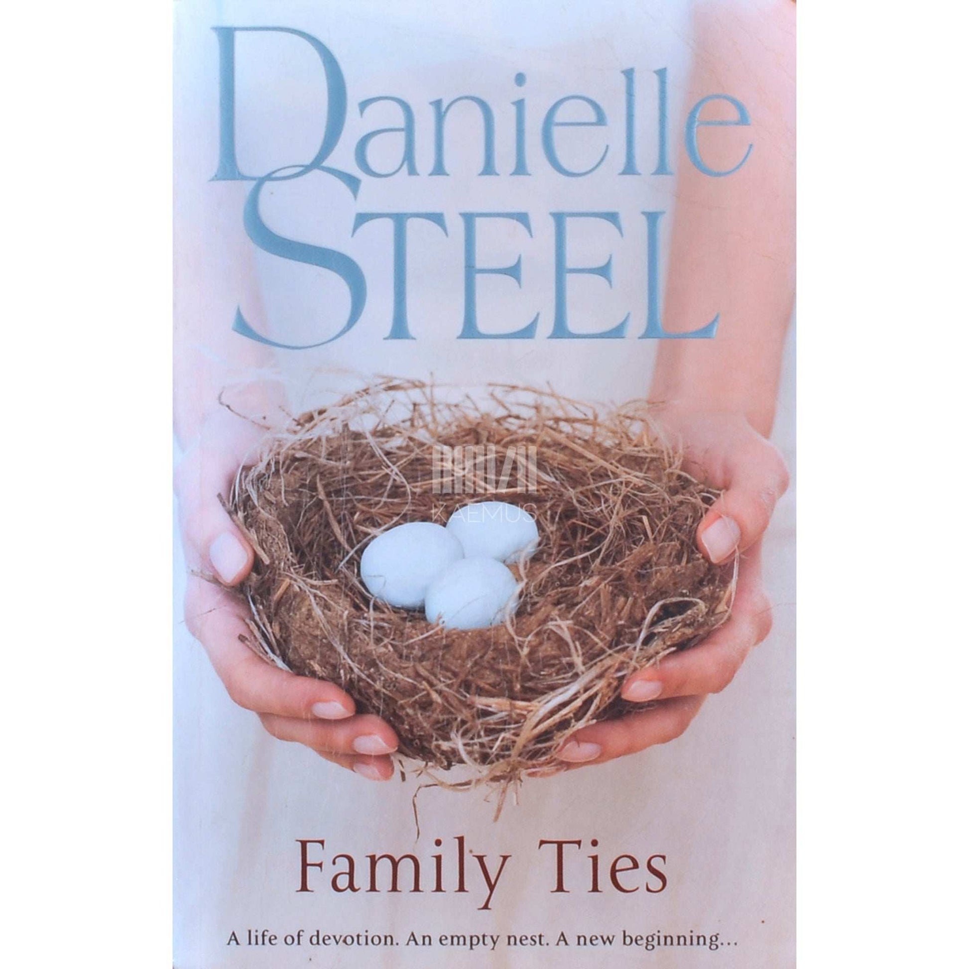 Danielle Steel - Family Ties