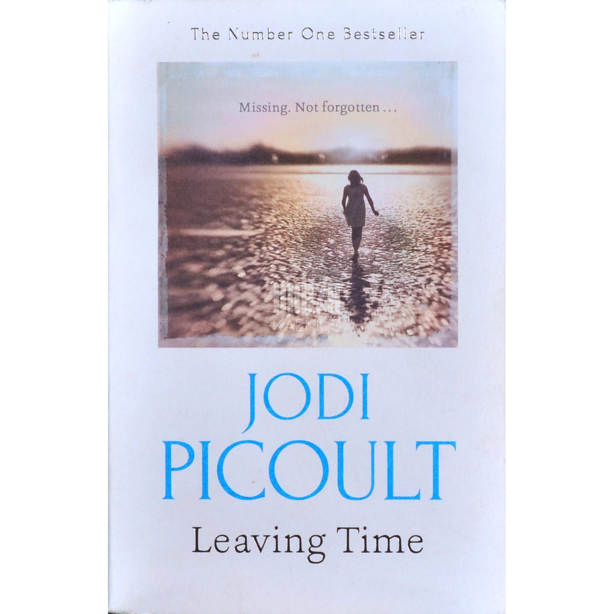 Jodi Picoult Leaving Time