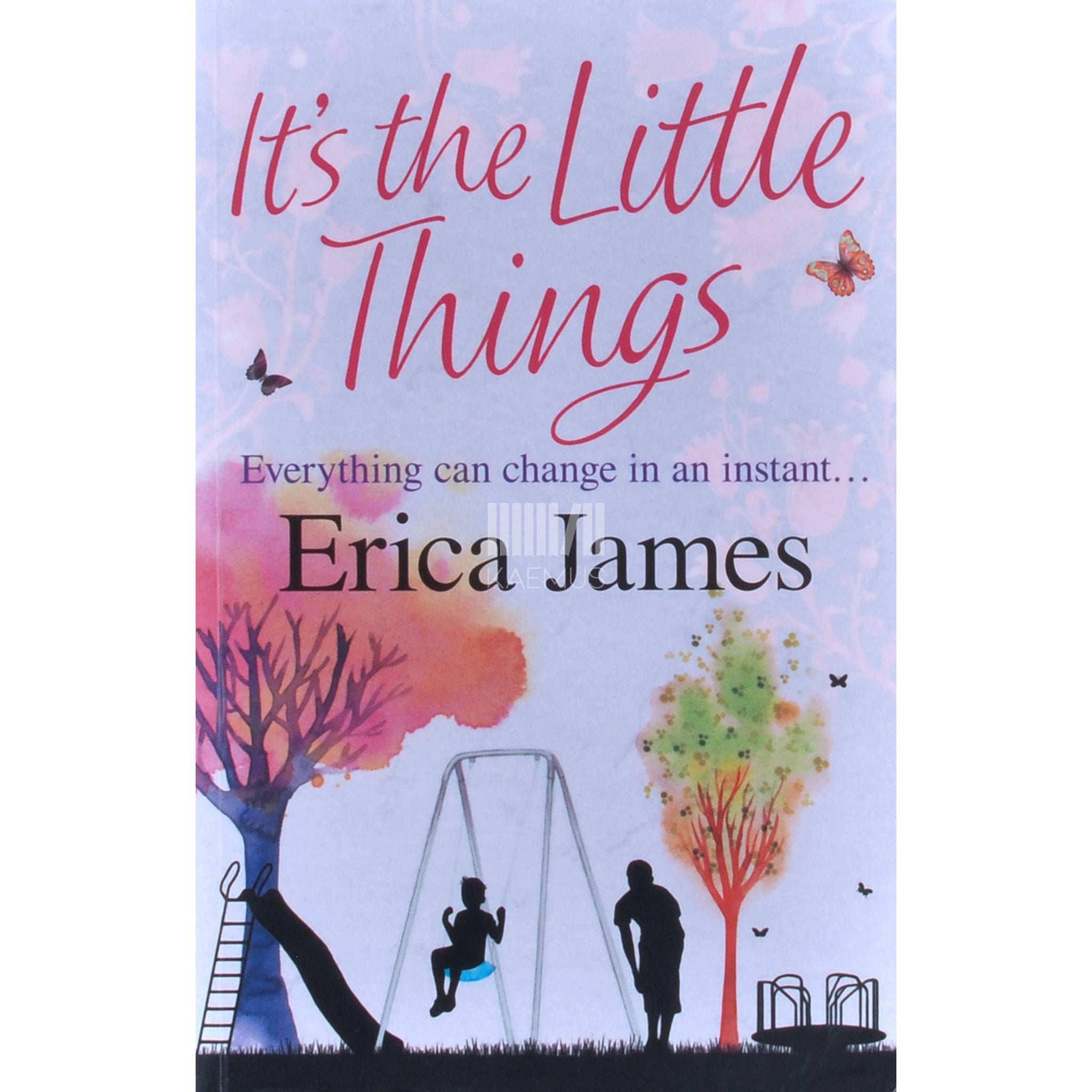 Erica James It's The Little Things