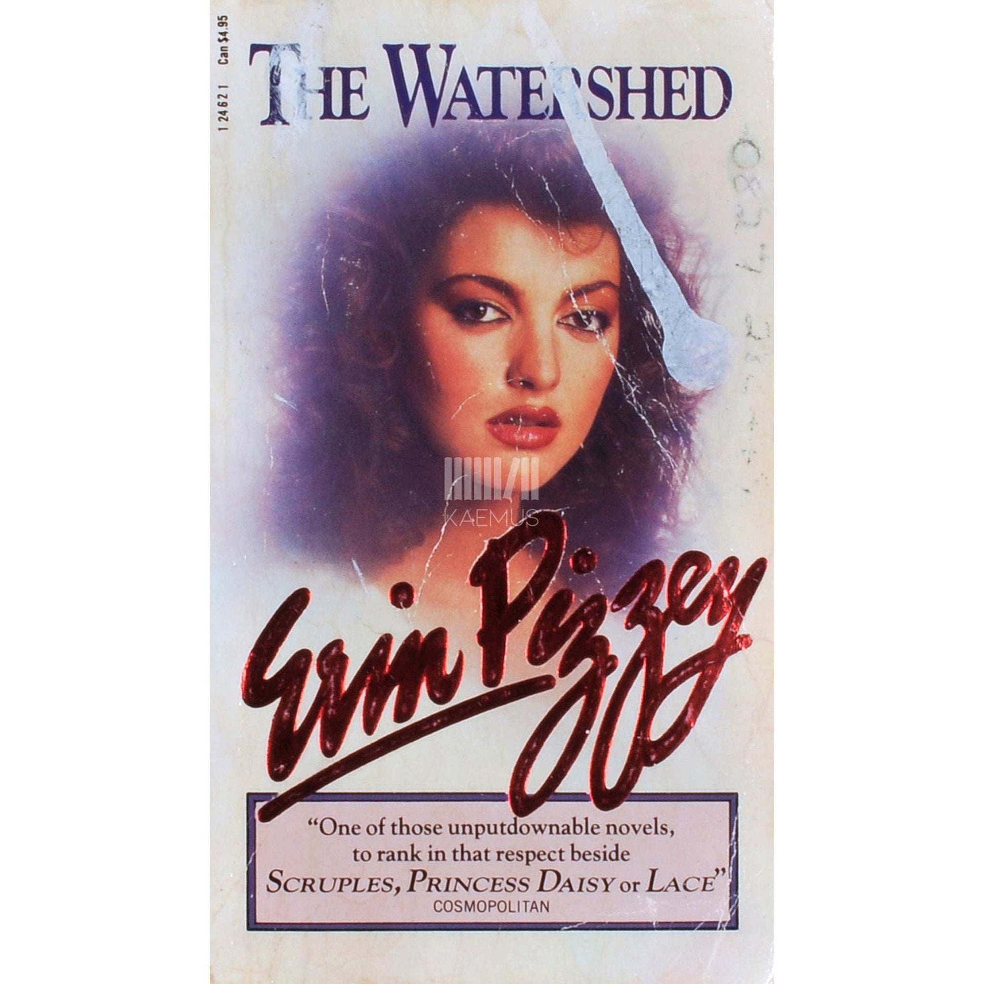 Erin Pizzey - The Watershed