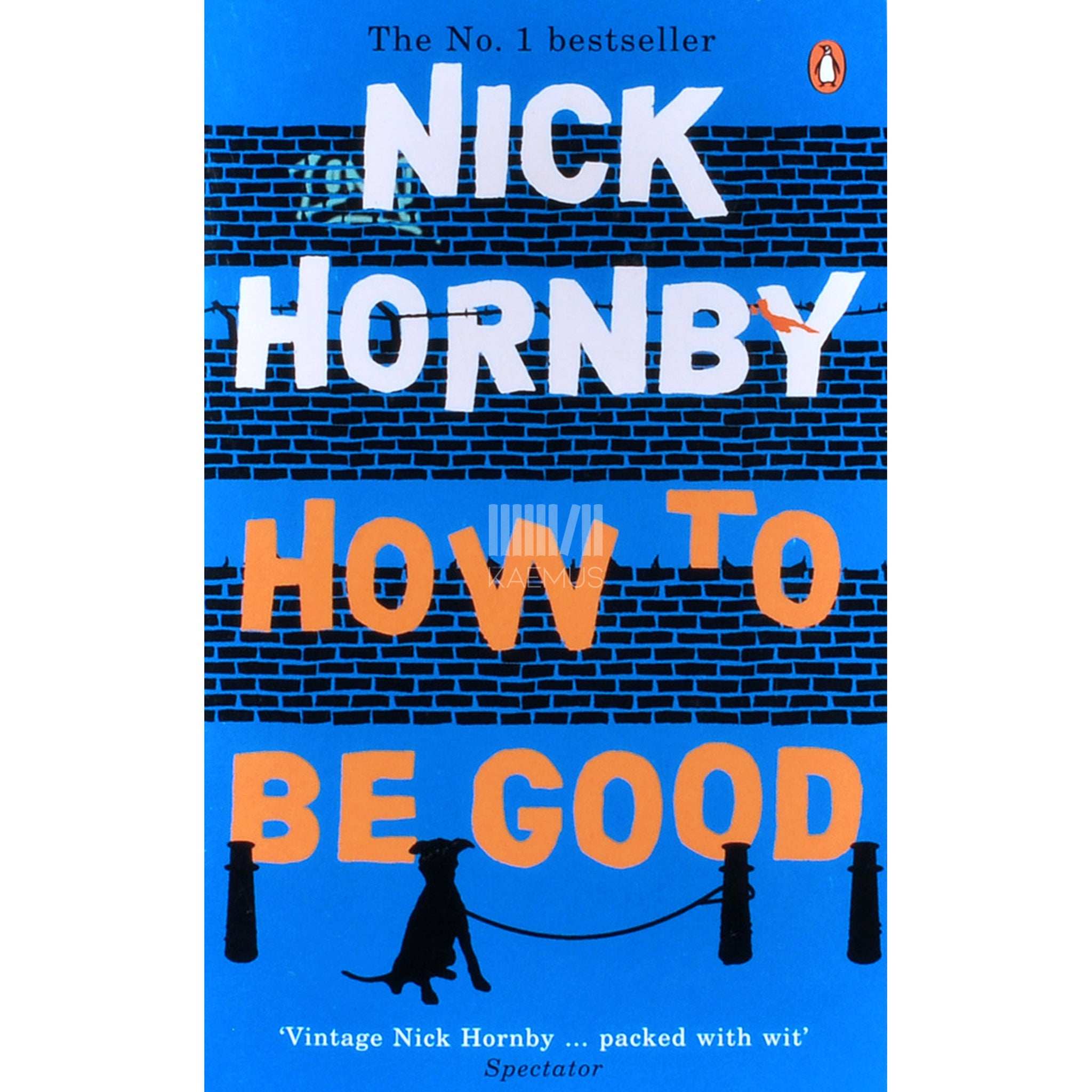 Nick Hornby How to Be Good