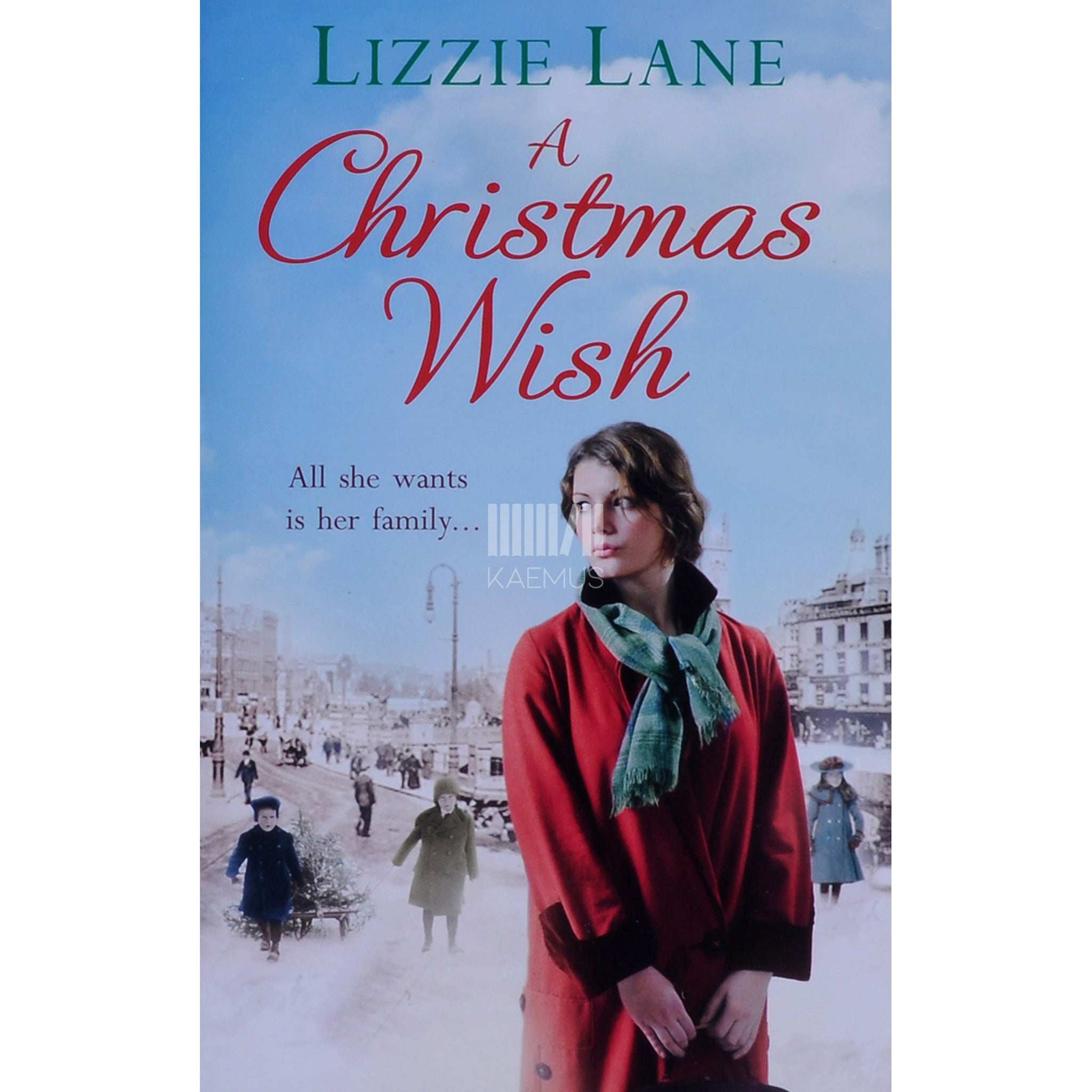Lizzie Lane A Christmas Wish