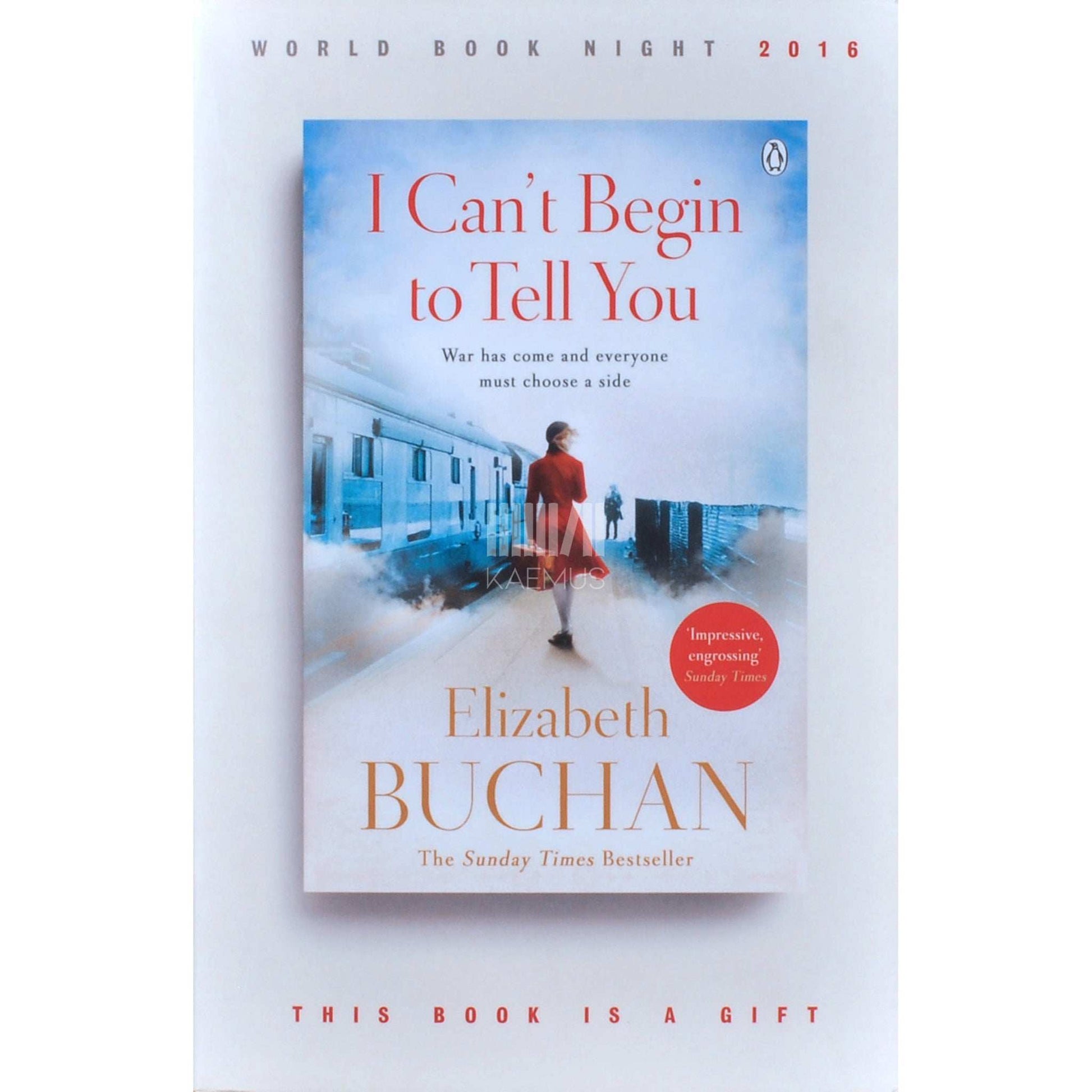 Elizabeth Buchan - I Can't Begin To Tell You
