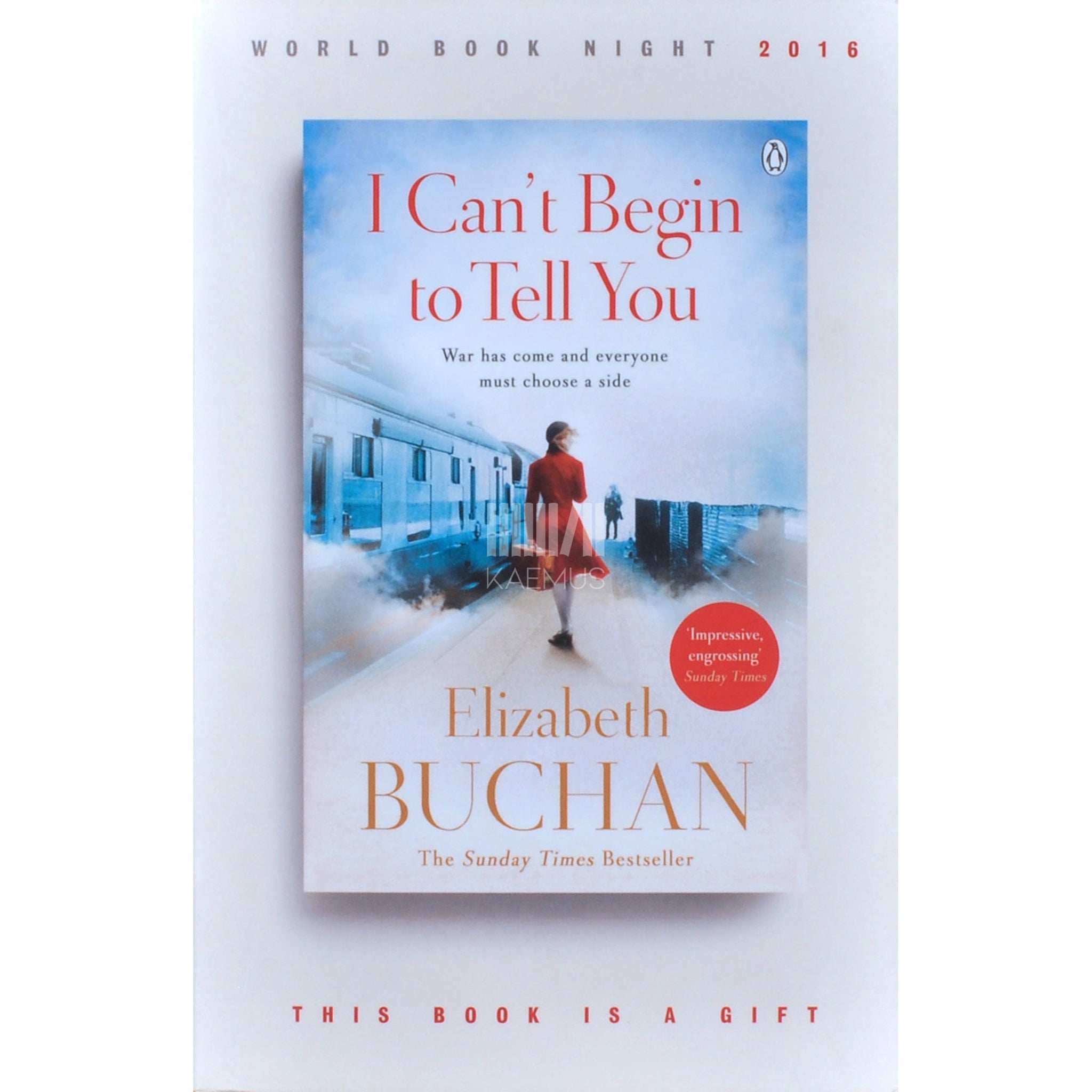 Elizabeth Buchan I Can't Begin To Tell You
