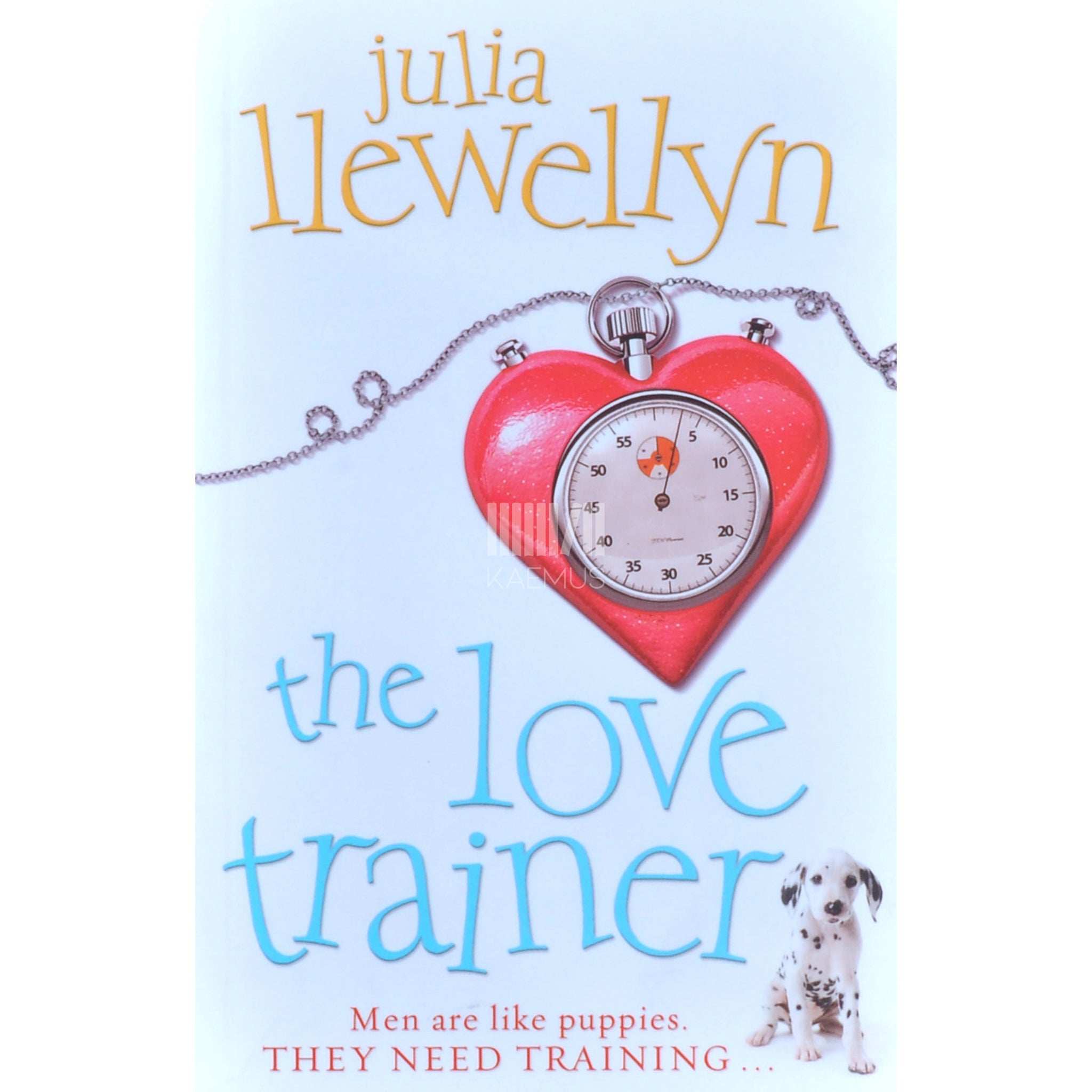 Julia Llewellyn The Love Trainer