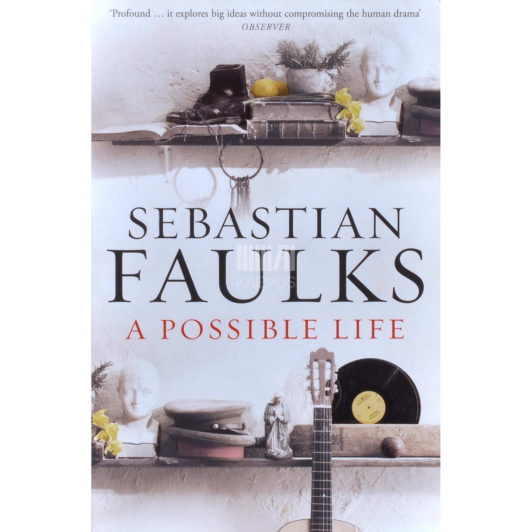 Sebastian Faulks A Possible Life