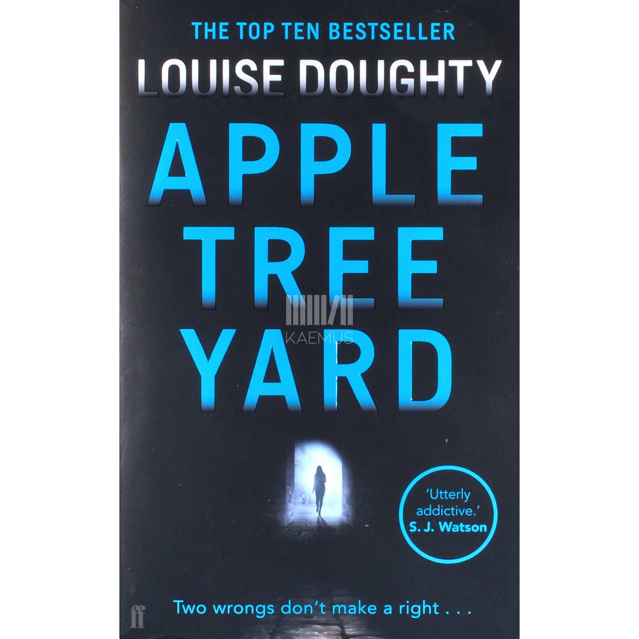 Louise Doughty Apple Tree Yard