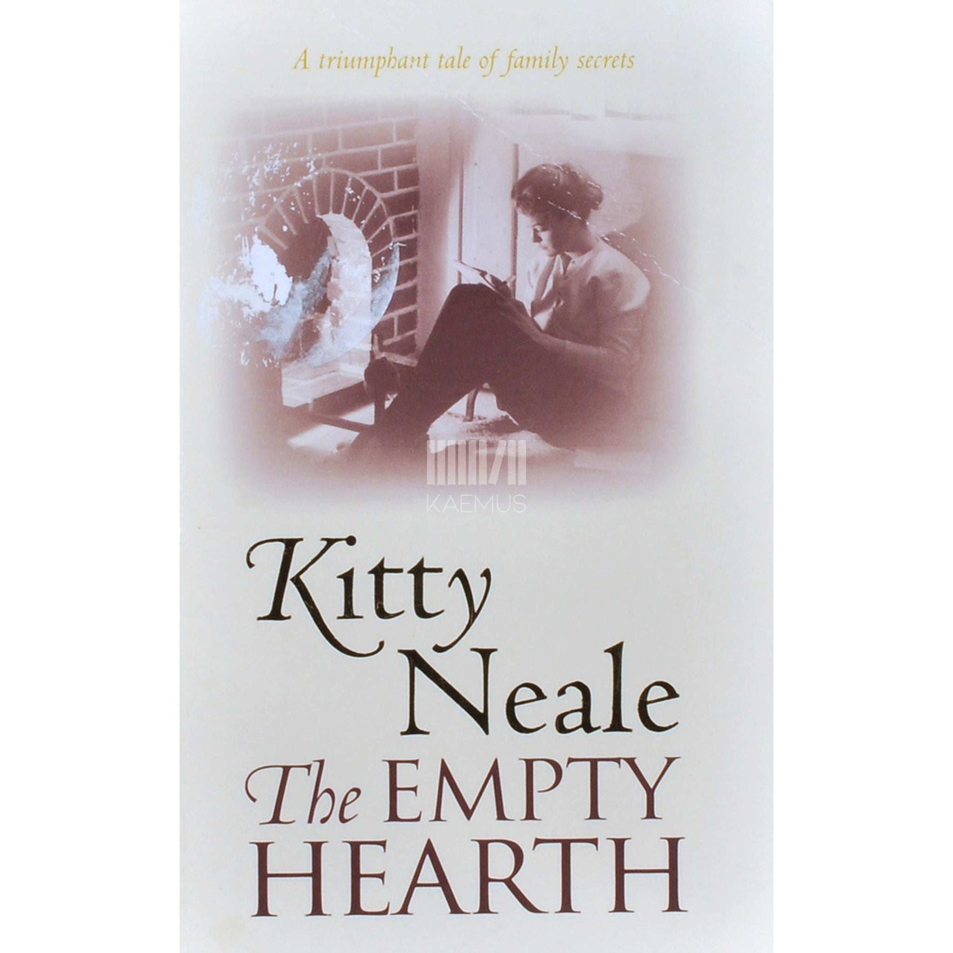 Judy Astley - Excess Baggage