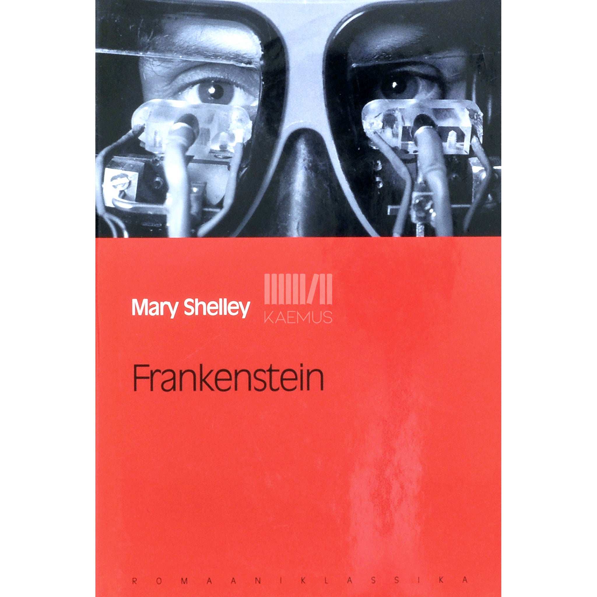 Mary Shelley Frankenstein