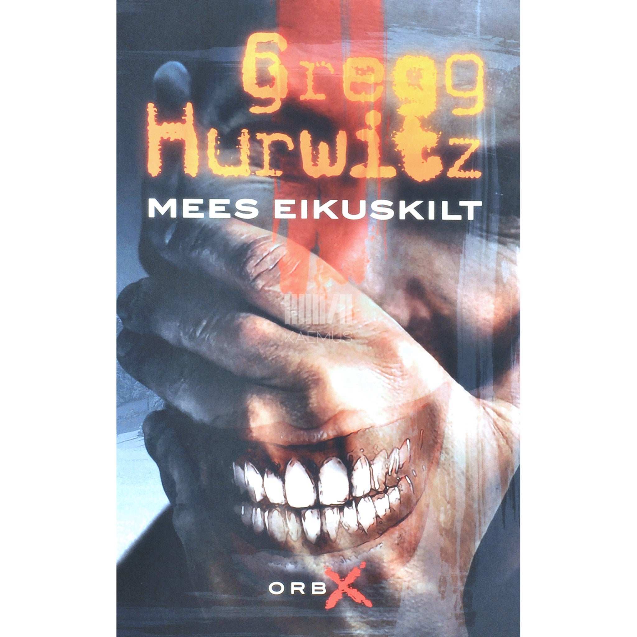 Gregg Hurwitz Mees eikuskilt