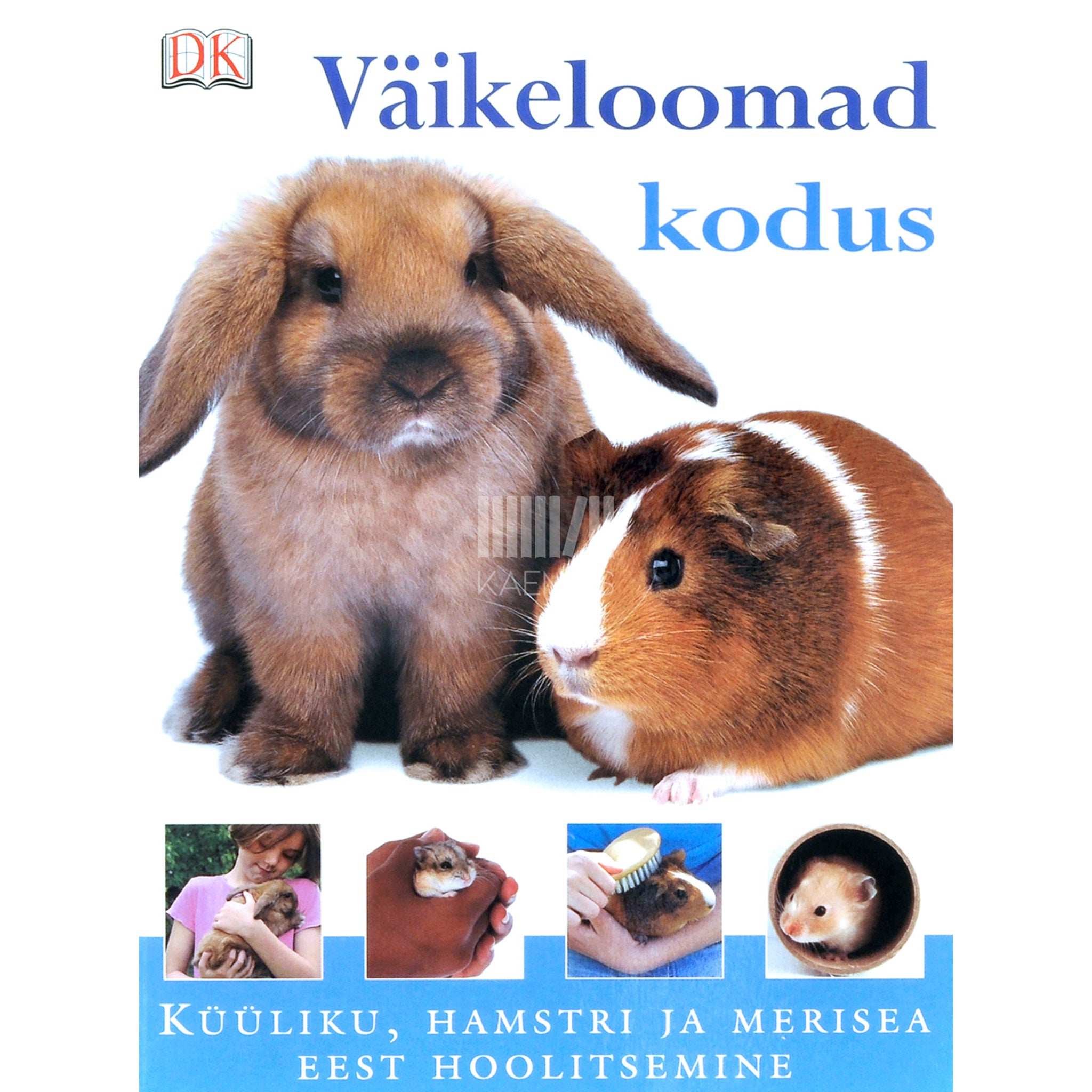 Annabel Blackledge Väikeloomad kodus. Küüliku, hamstri ja merisea eest hoolitsemine