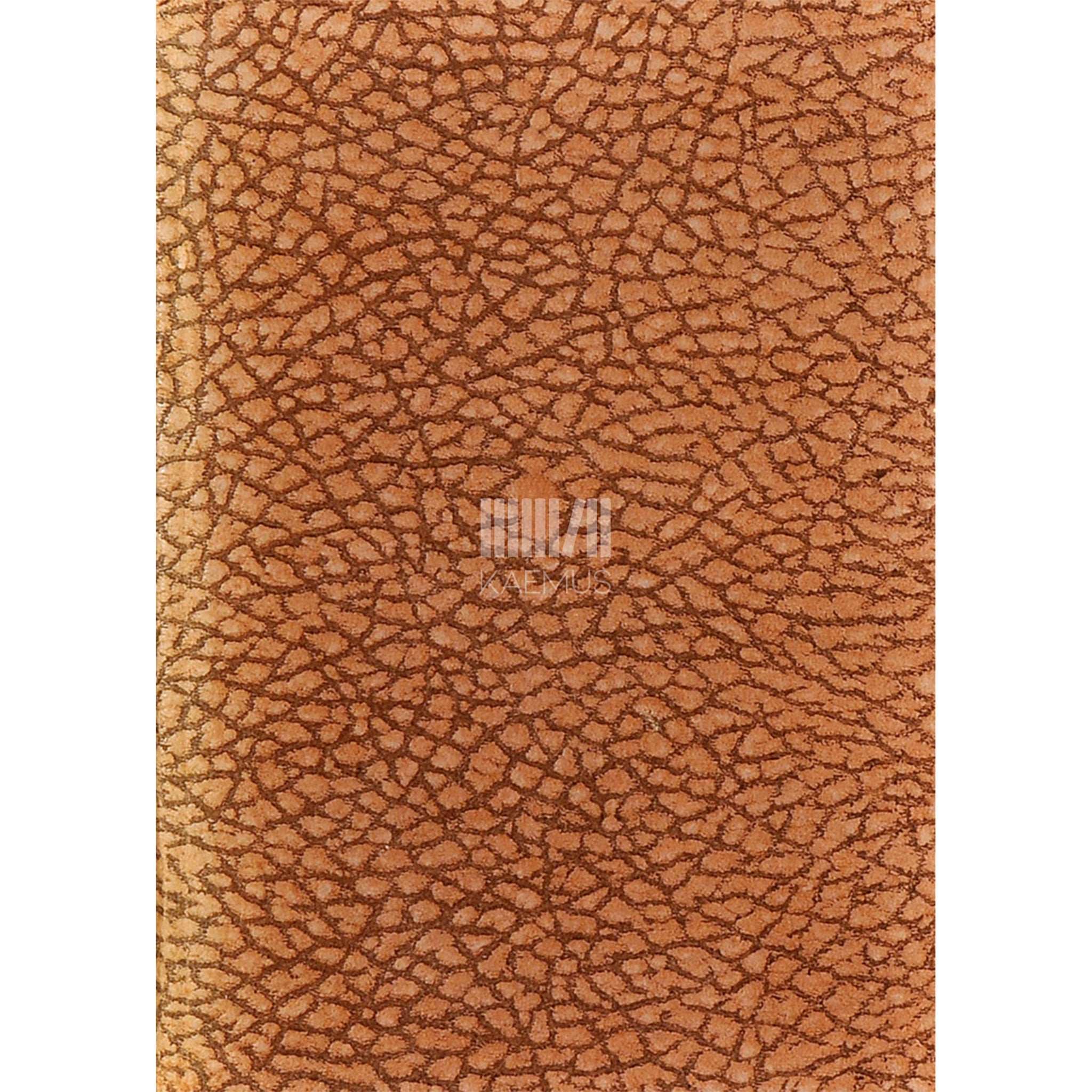 Hendrik Adamson Roheline sisalik