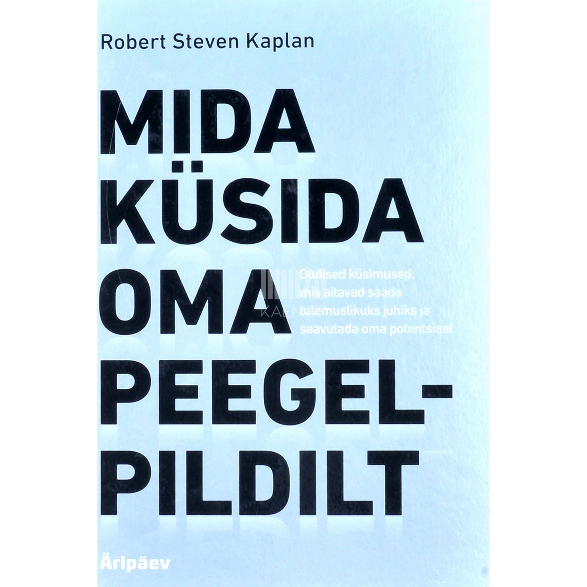 Robert S. Kaplan Mida küsida oma peegelpildilt