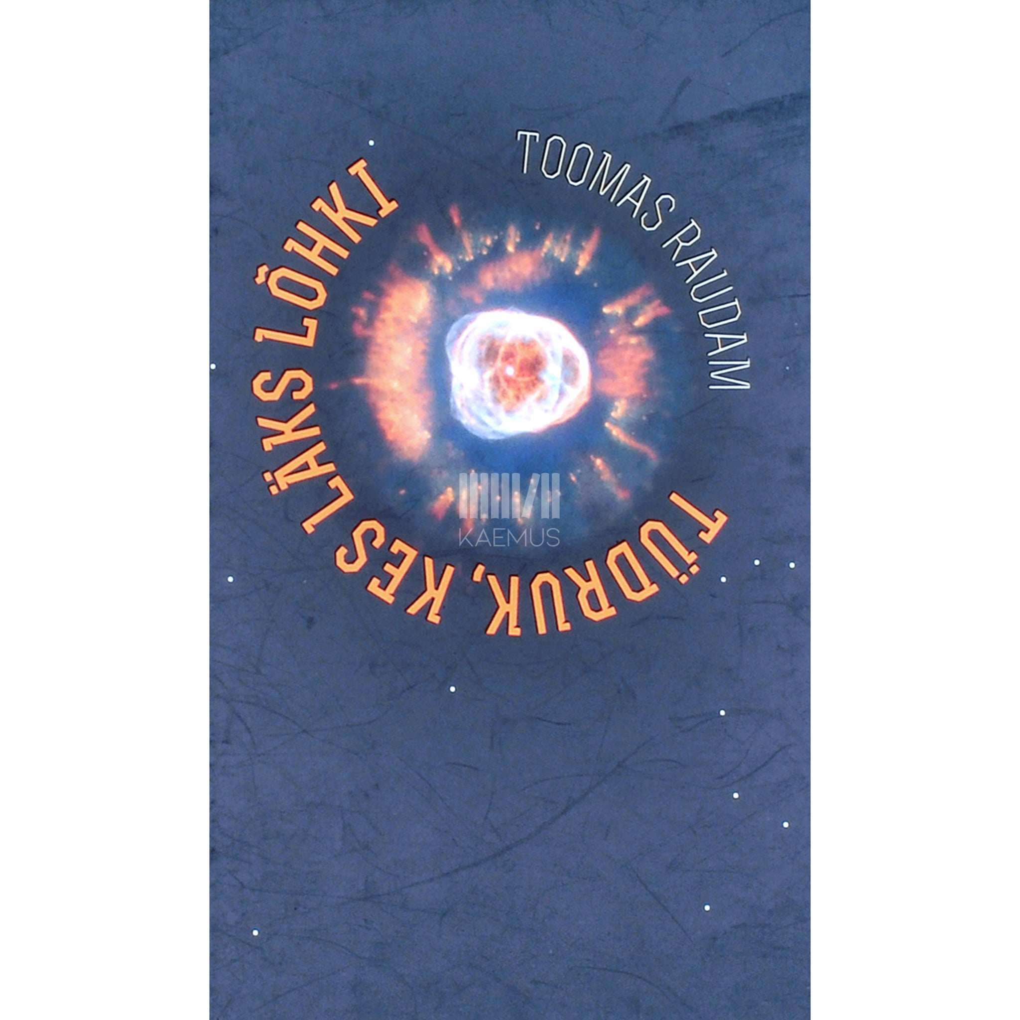 Toomas Raudam Tüdruk, kes läks lõhki. Romaan tähtedes