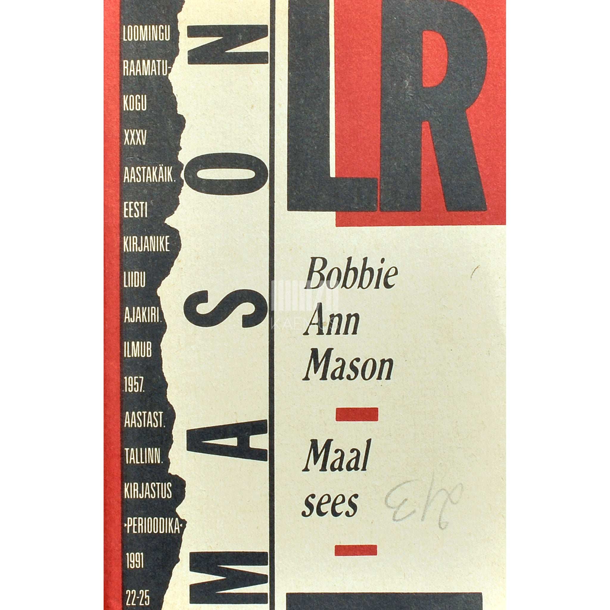 Bobbie Ann Mason Maal sees