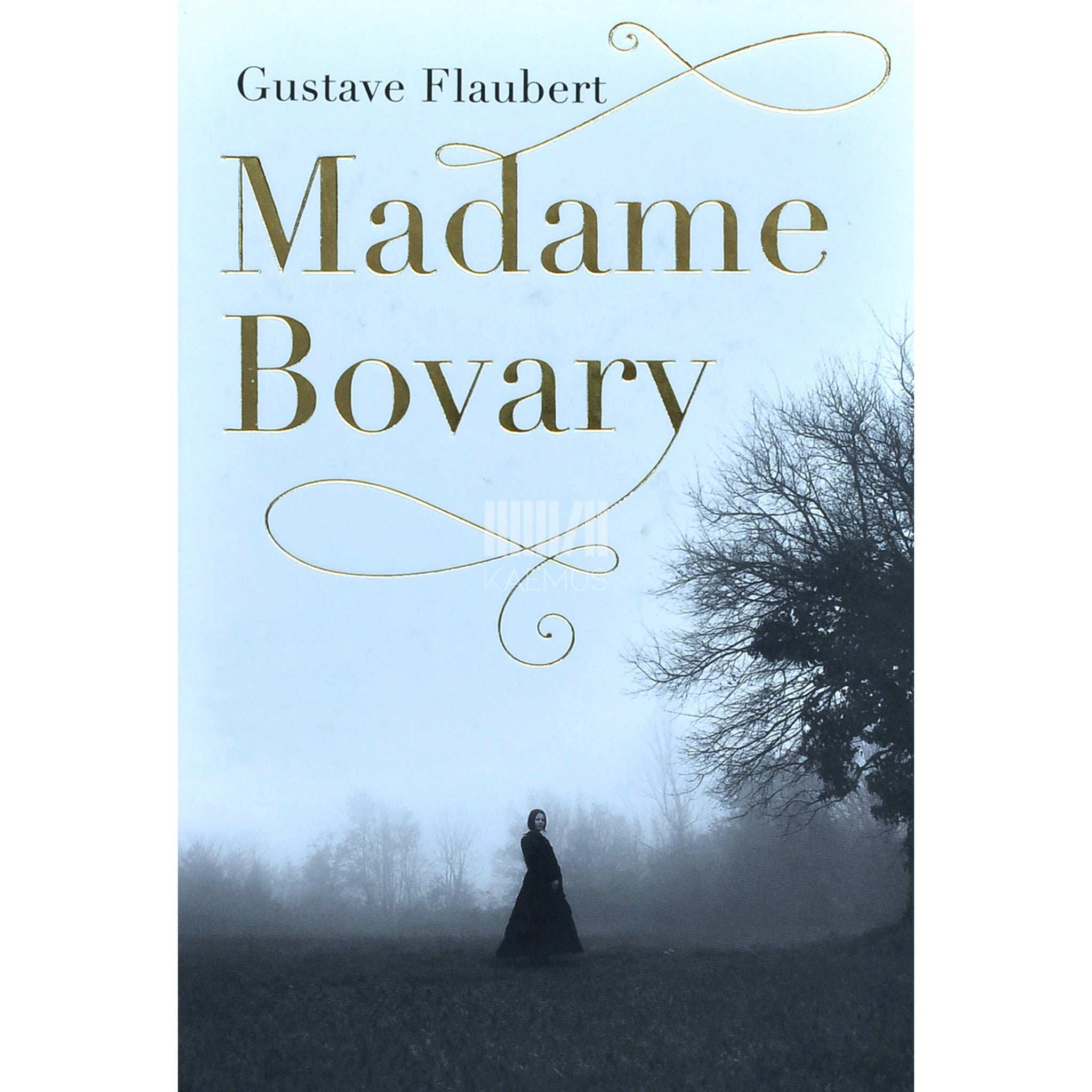 Gustave Flaubert Madame Bovary