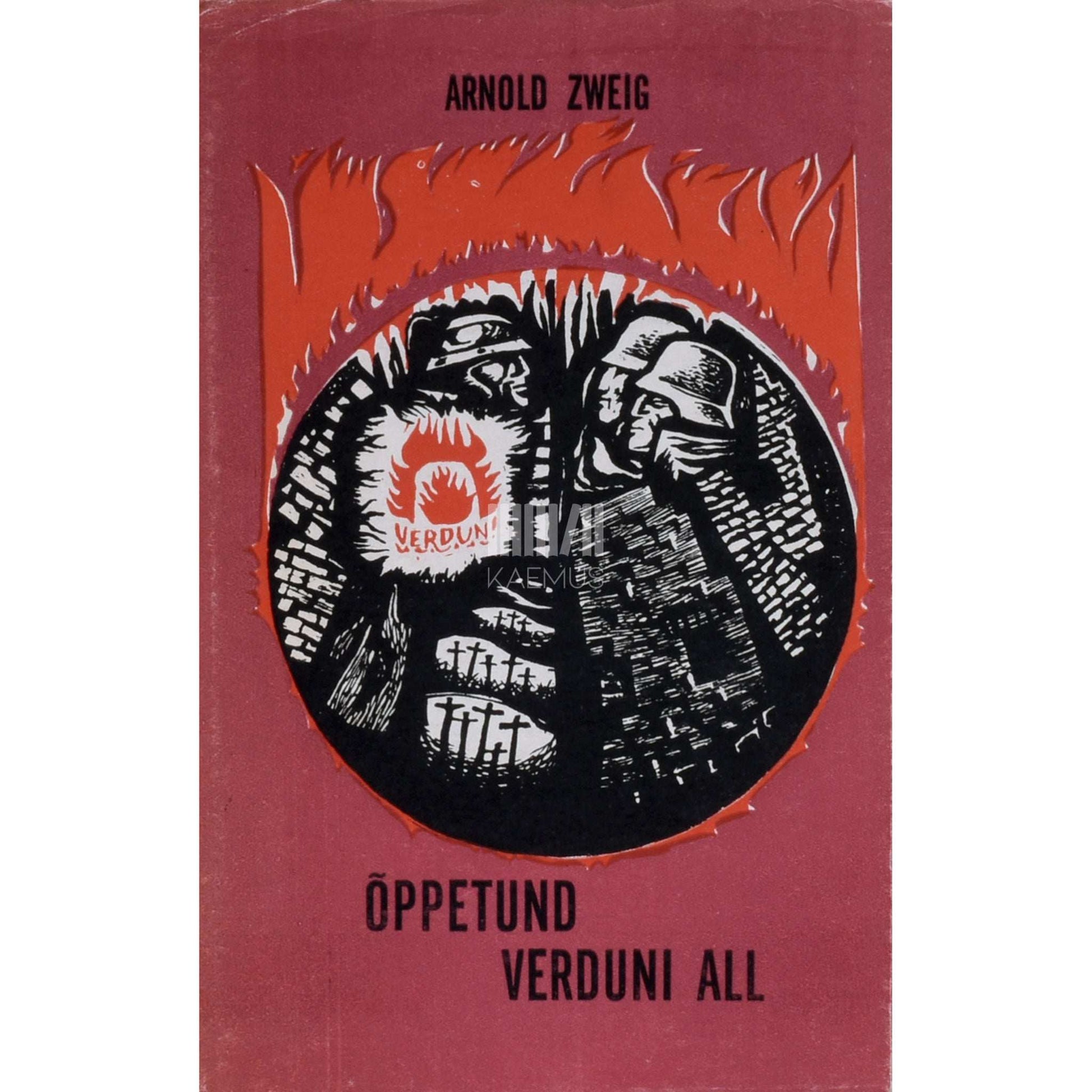 Arnold Zweig - Õppetund Verduni all