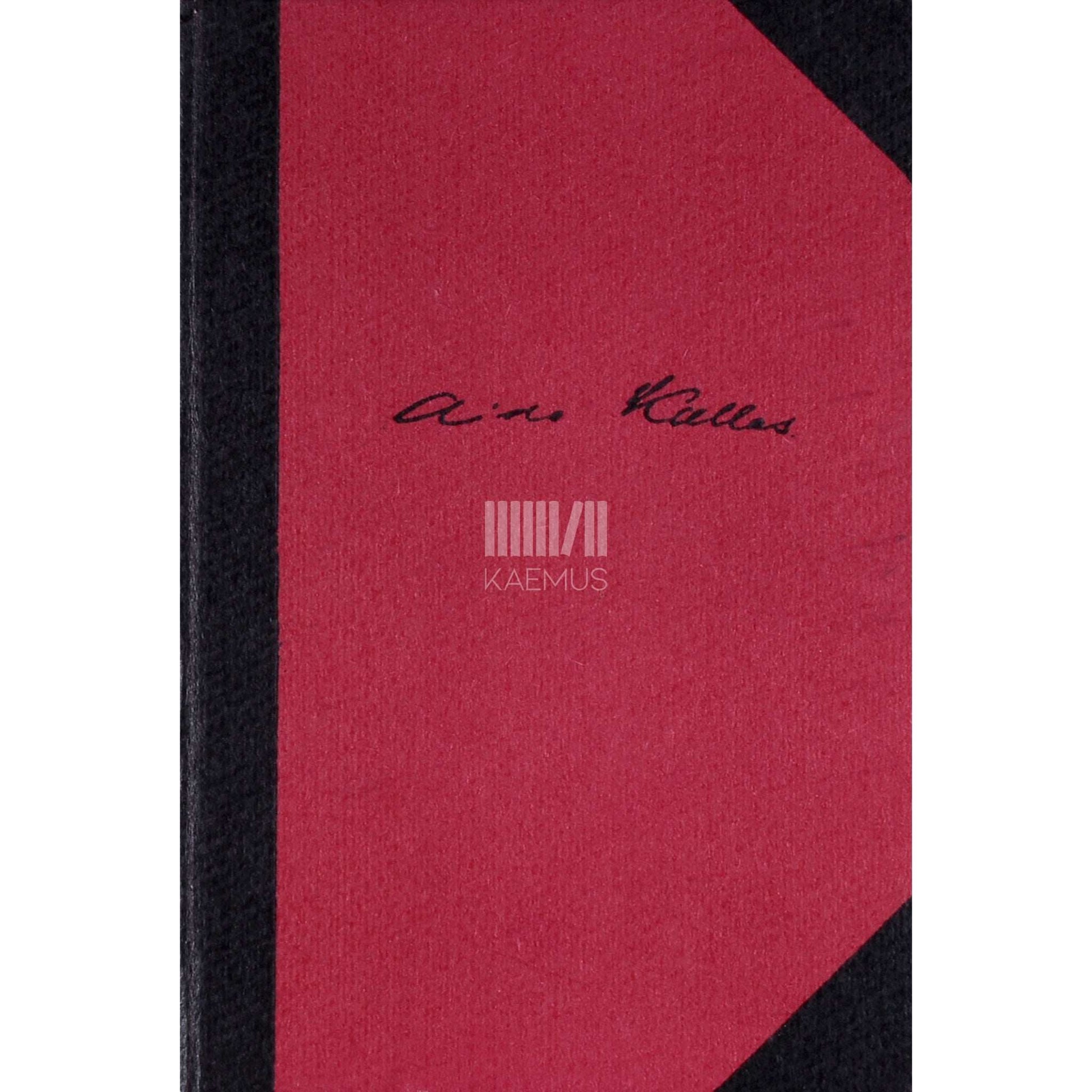 Aino Kallas - Hingesild. Päevikulehti aastaist 1916-1921