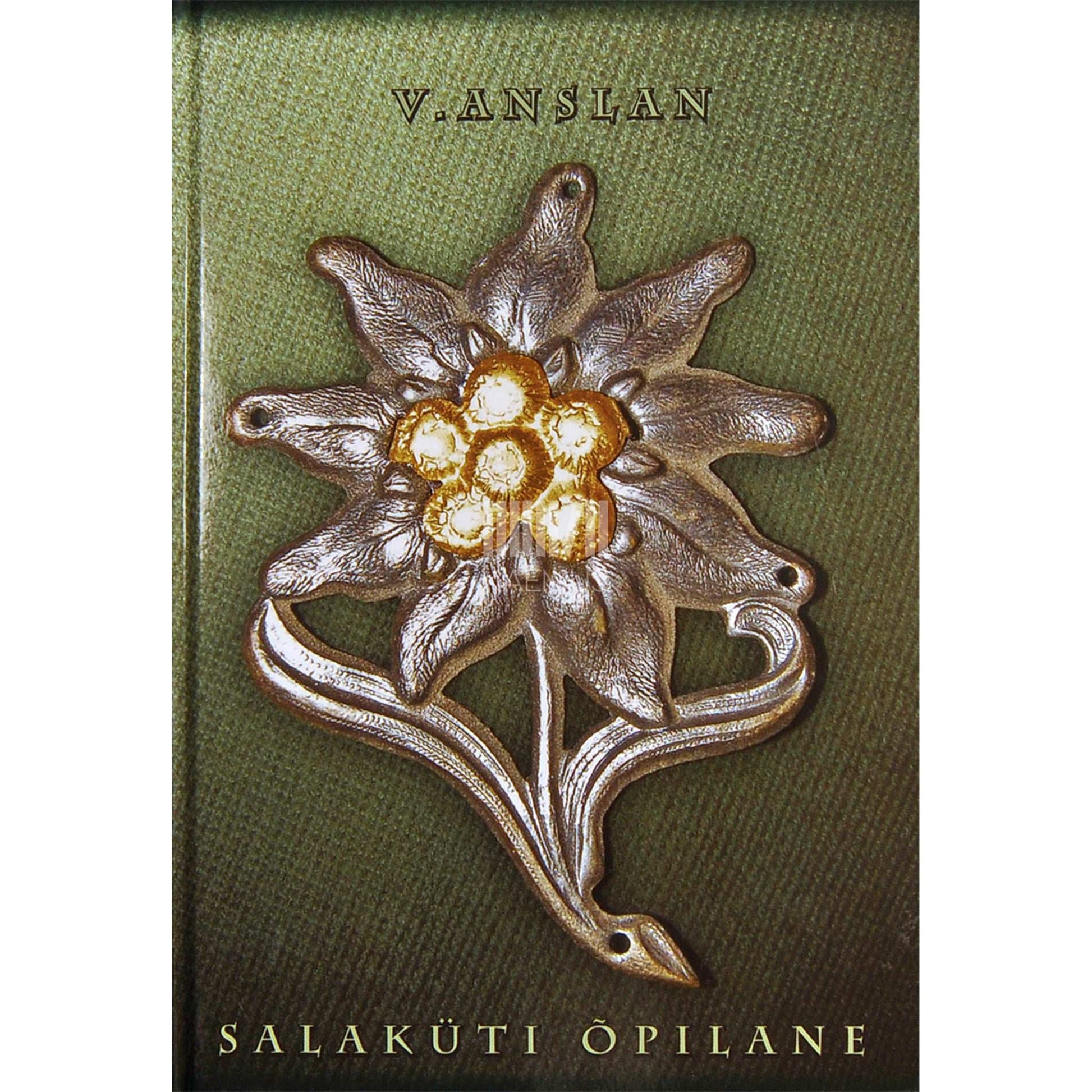 Viljo Anslan - Salaküti õpilane