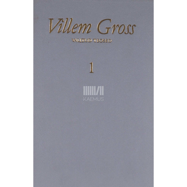 Villem Gross - Tiivasirutus. Müüa pooleliolev individuaalelumaja