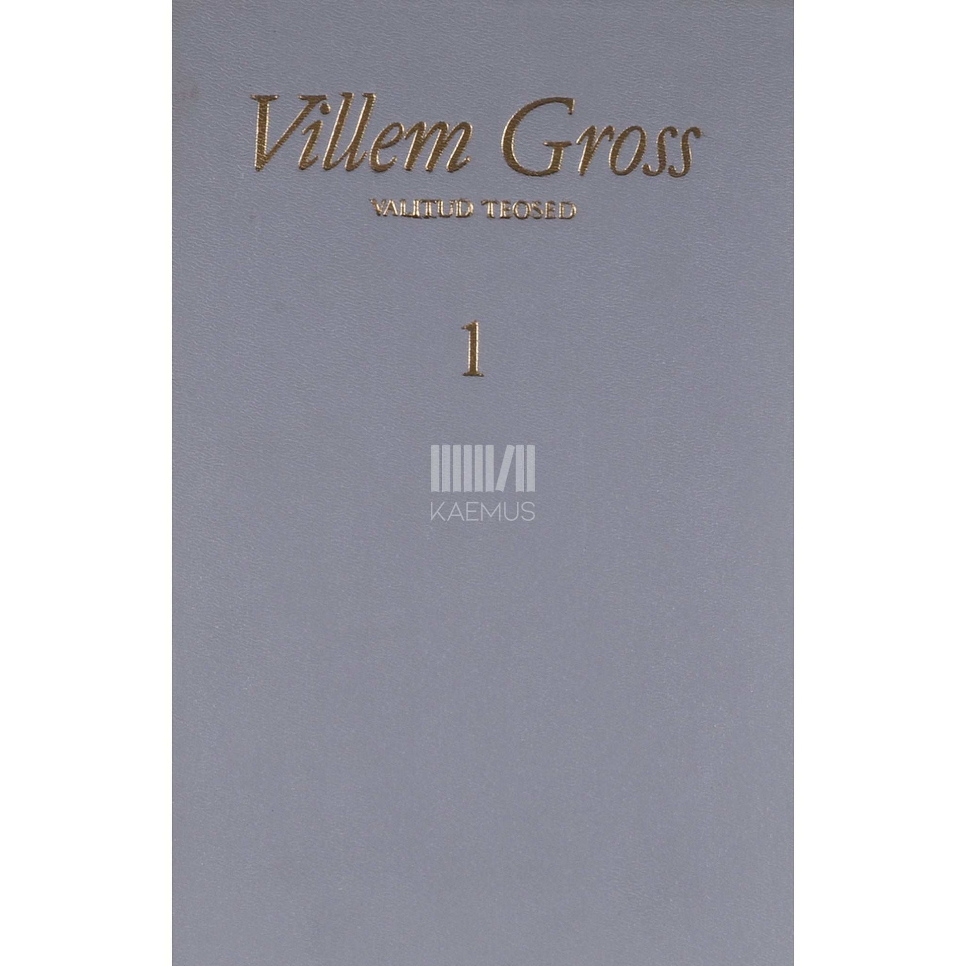 Villem Gross - Tiivasirutus. Müüa pooleliolev individuaalelumaja