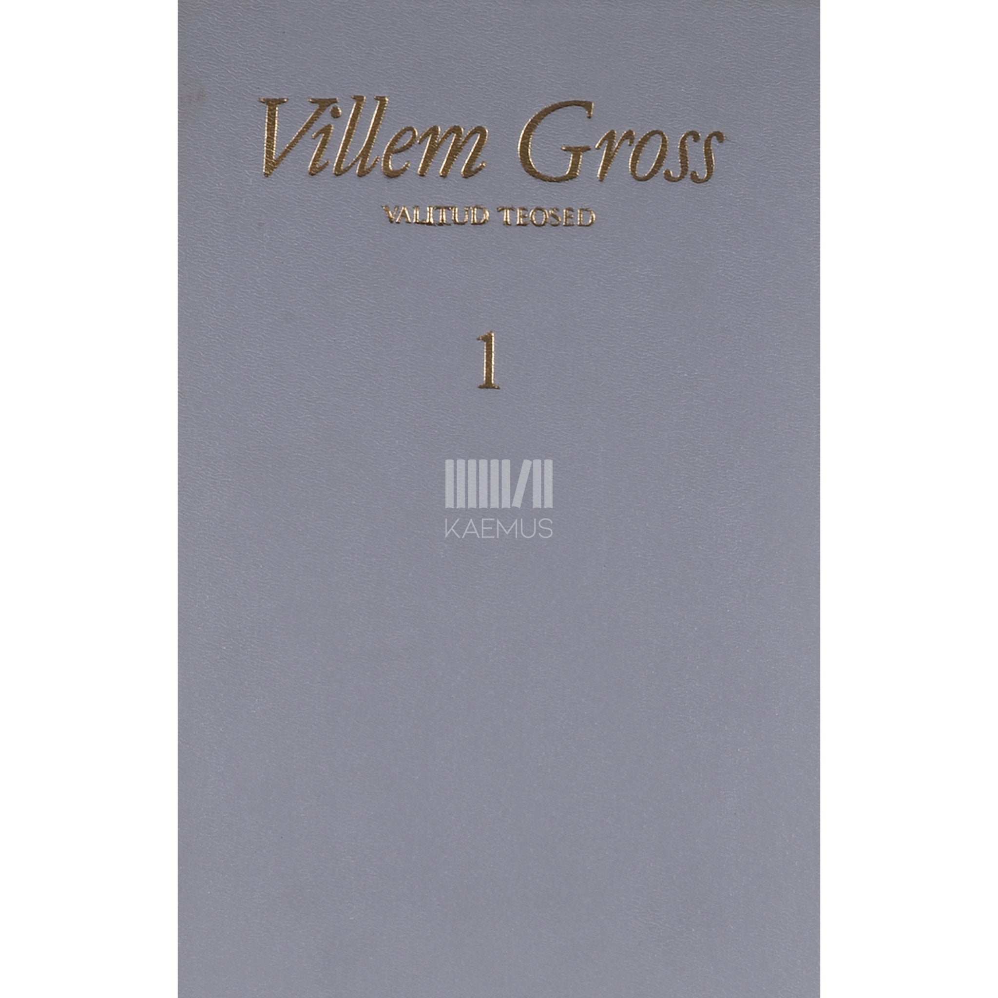 Villem Gross Tiivasirutus. Müüa pooleliolev individuaalelumaja