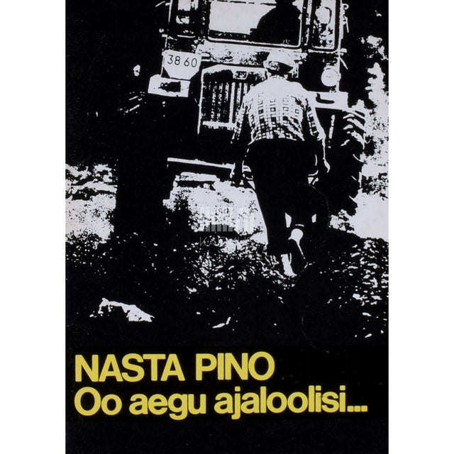 Nasta Pino - Oo aegu ajaloolisi.... Olukirjeldused