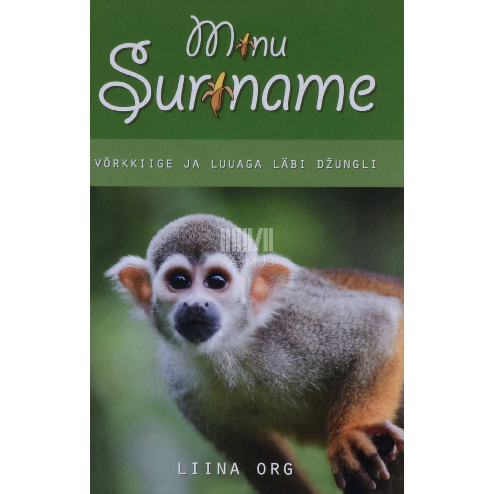 Liina Org Minu Suriname. Võrkkiige ja luuaga läbi džungli