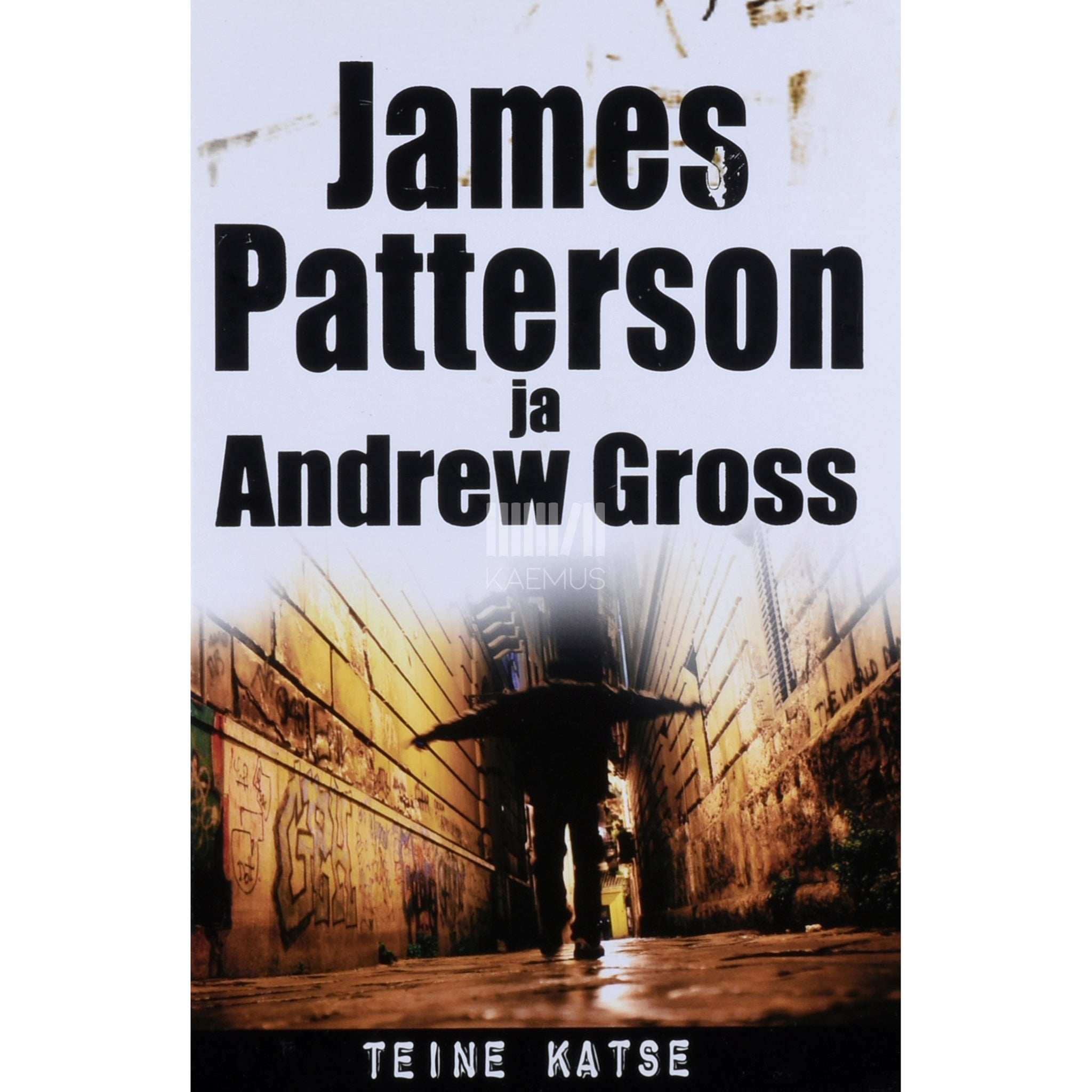 Andrew Gross, James Patterson Teine katse
