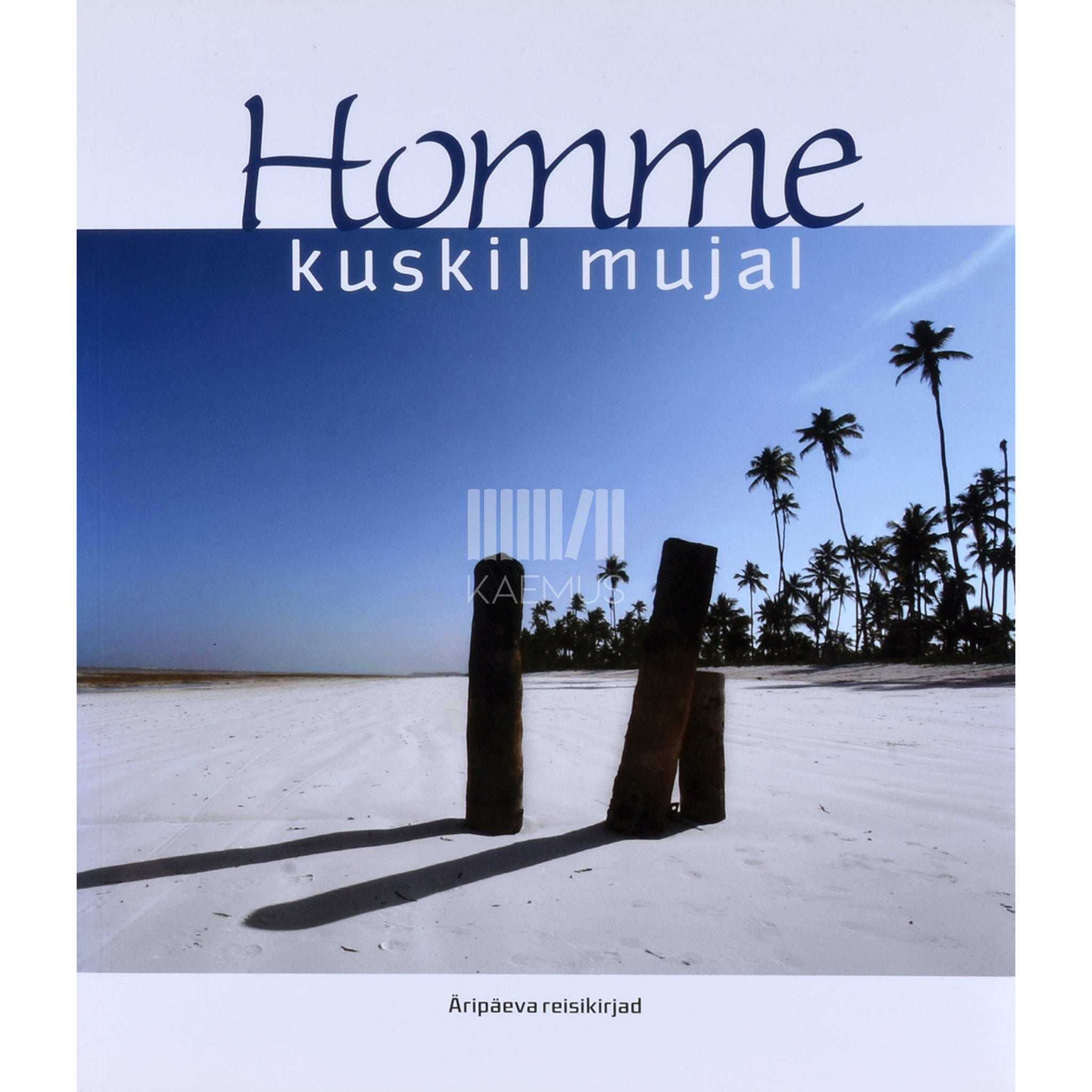 ... Homme kuskil mujal. Äripäeva reisikirjad