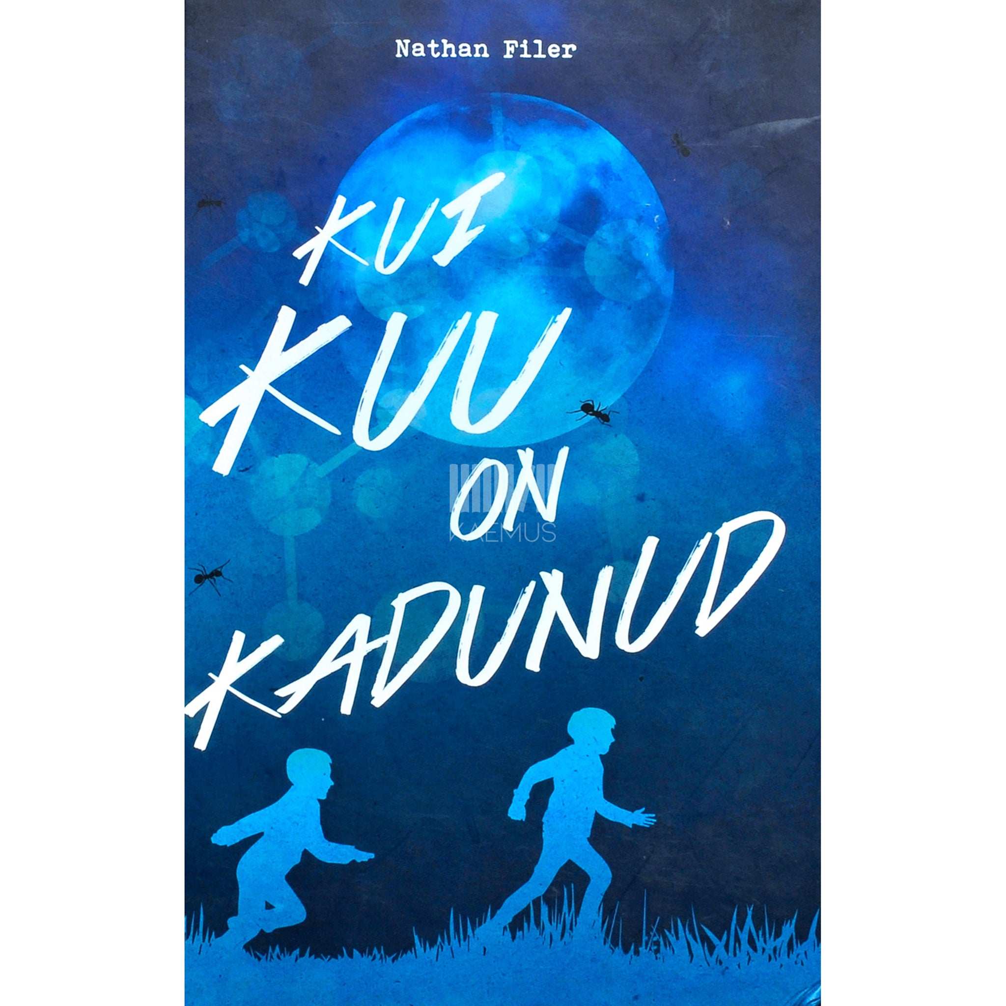 Nathan Filer Kui kuu on kadunud