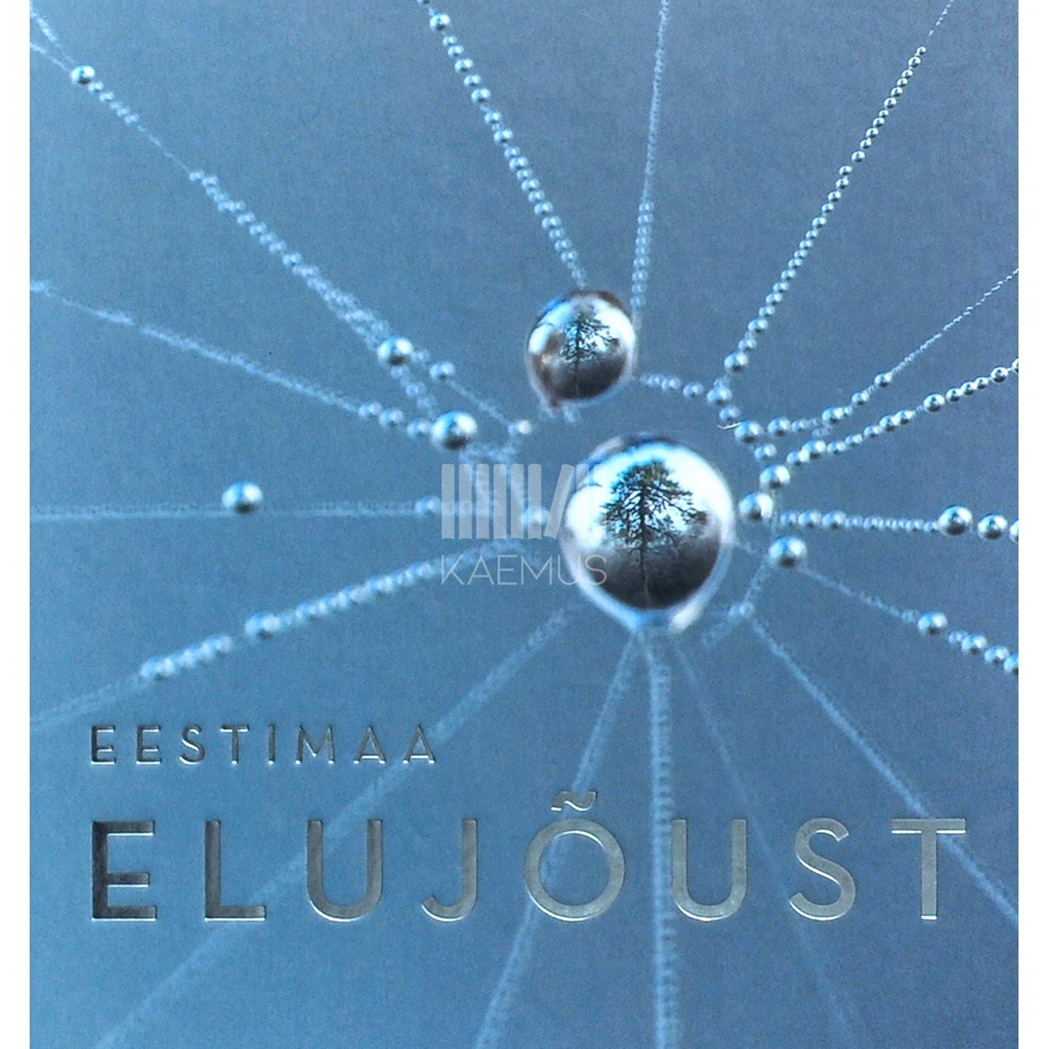 Liivia Orm Eestimaa elujõust