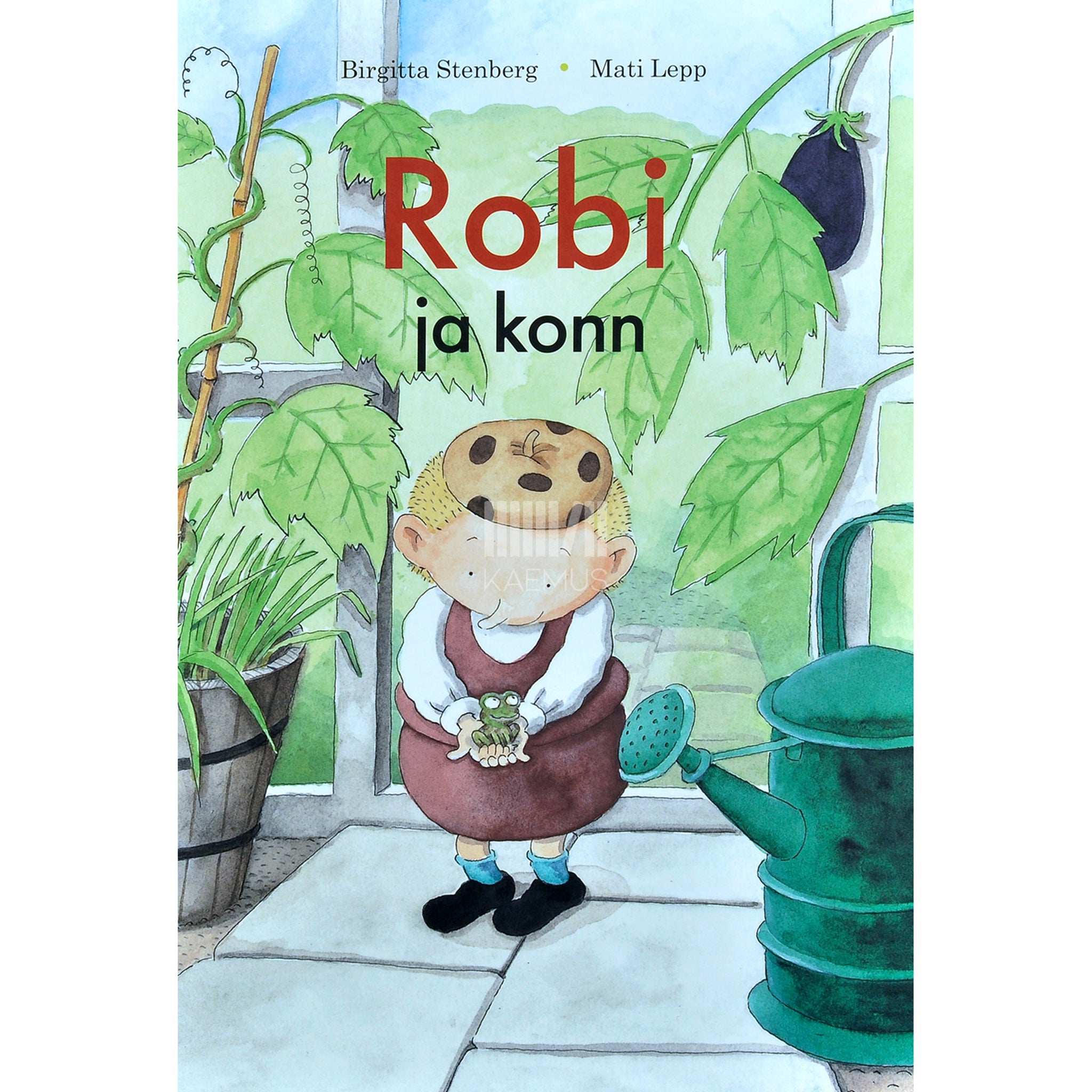 Birgitta Stenberg Robi ja konn
