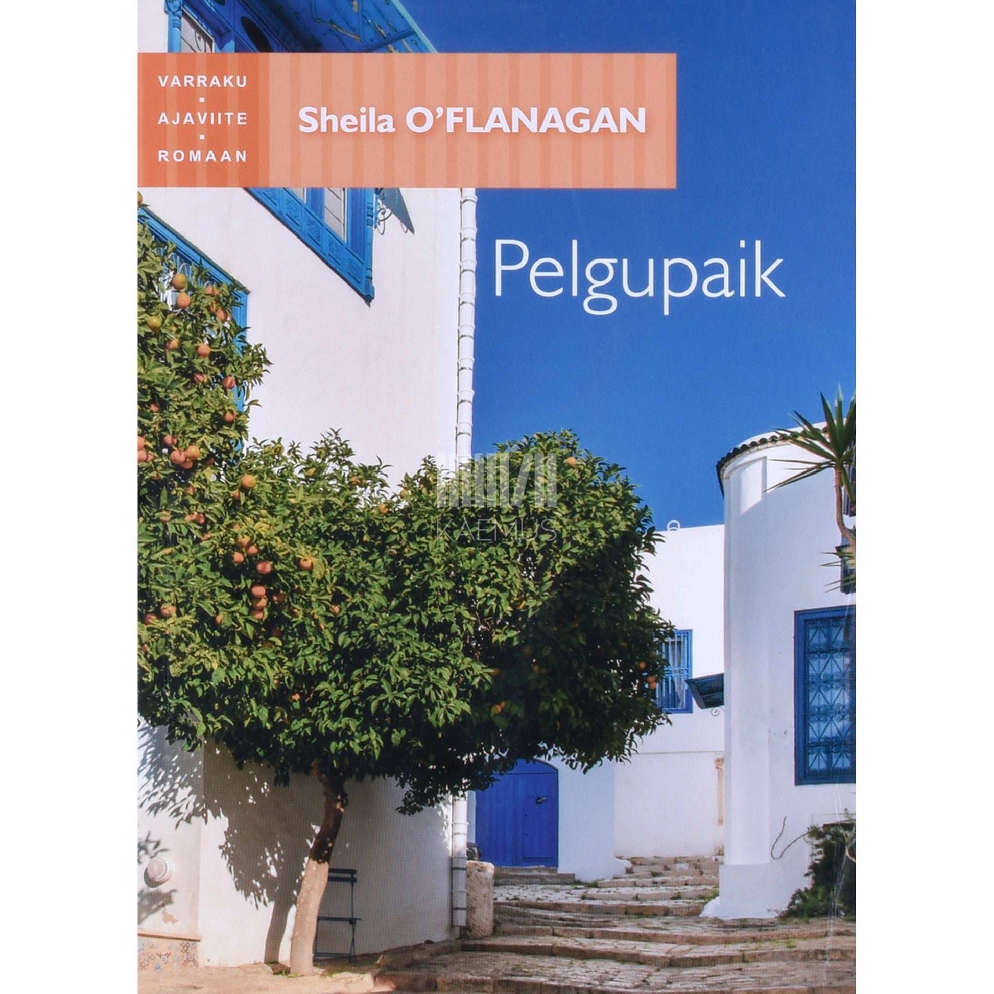 Sheila O'Flanagan - Pelgupaik