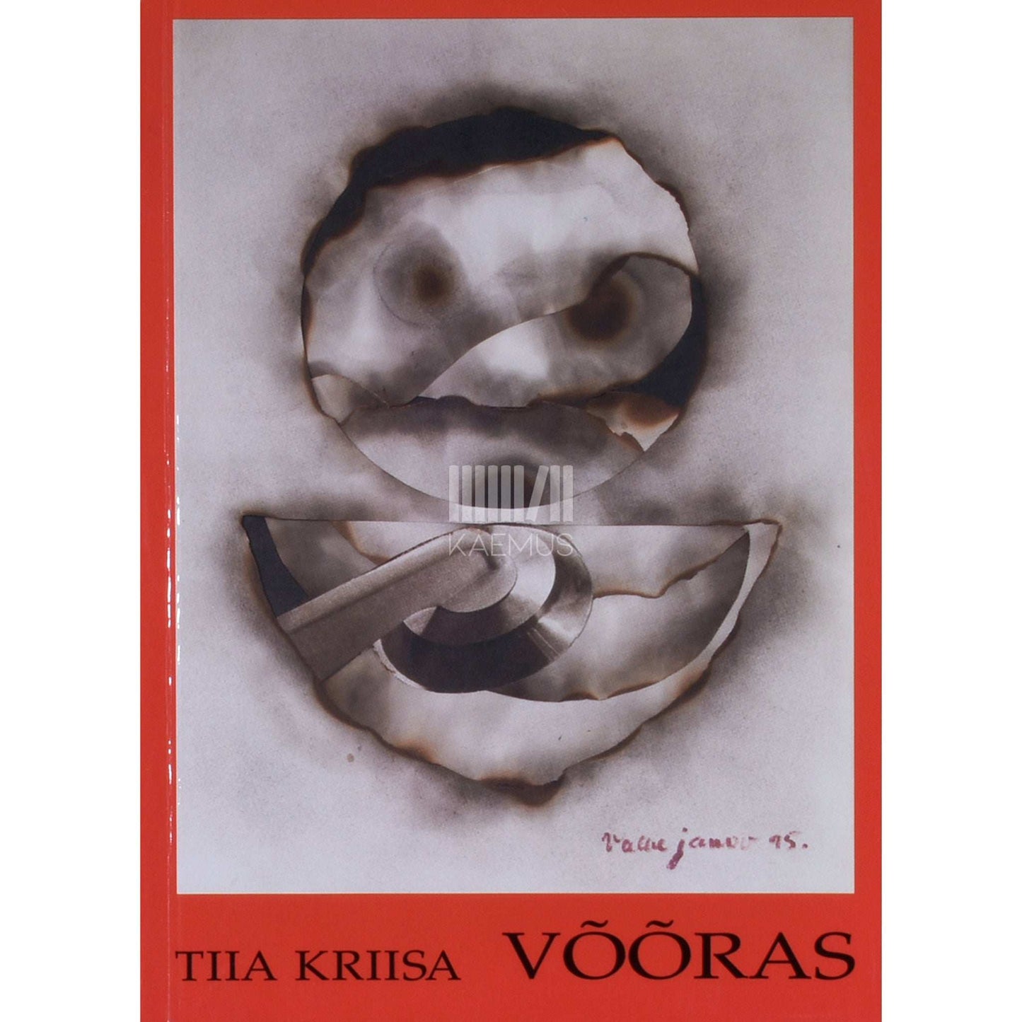 Tiia Kriisa - Võõras