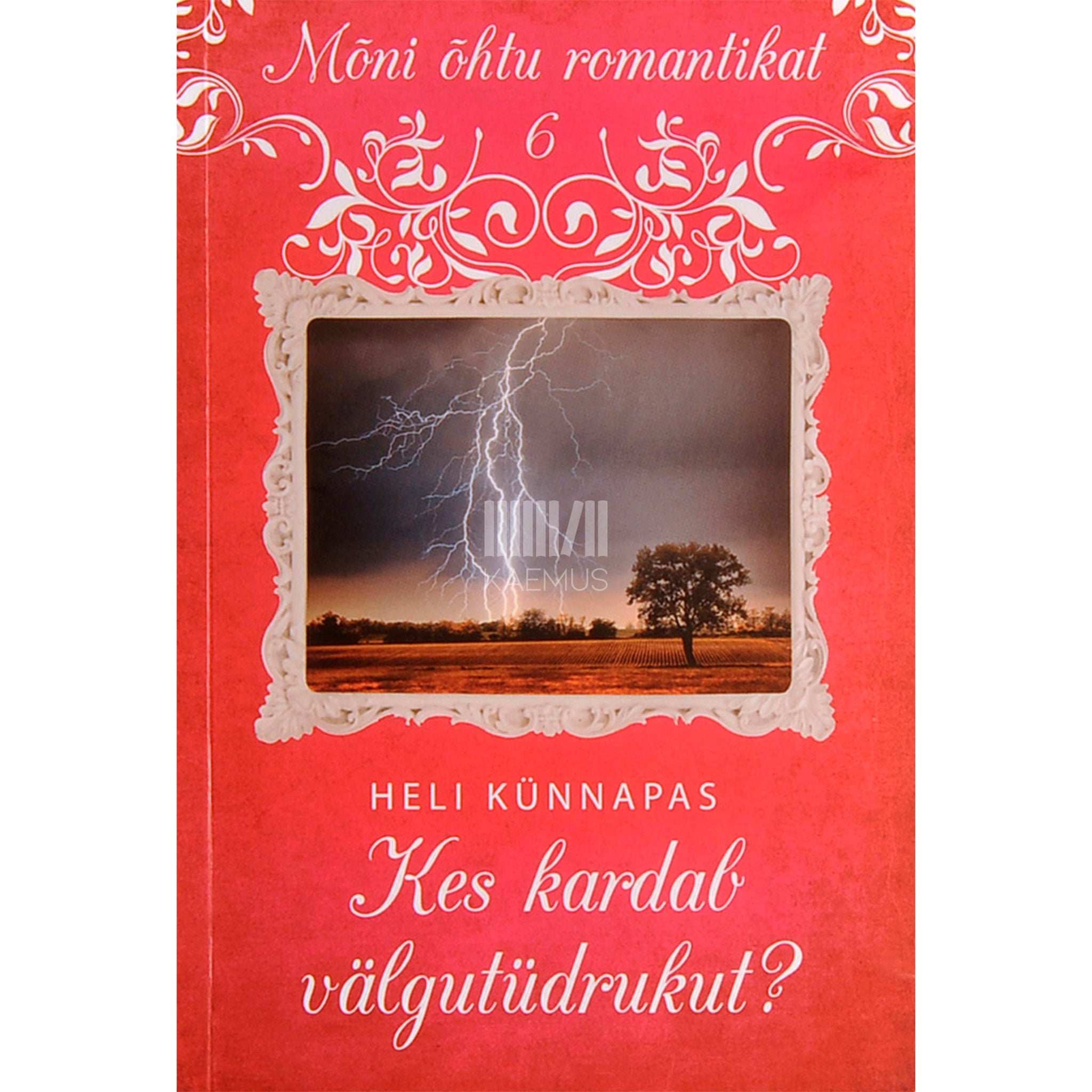 Heli Künnapas Kes kardab välgutüdrukut?
